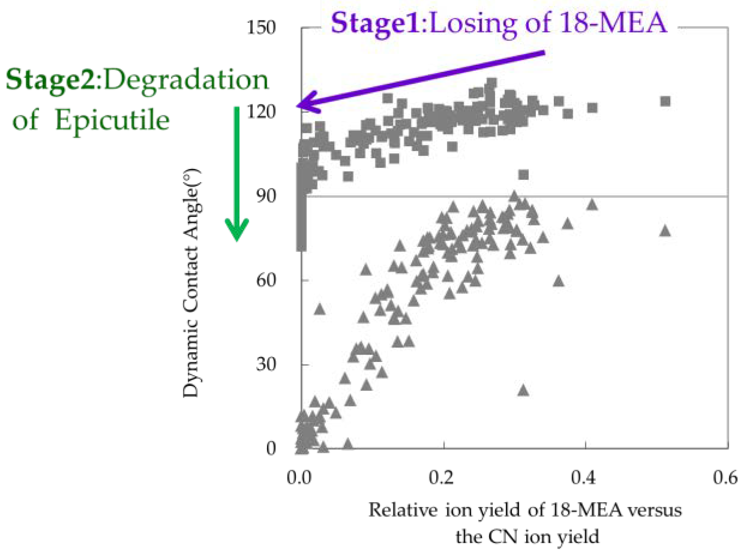 Cosmetics 06 00031 g013 Cosmetics 06 00031 g013