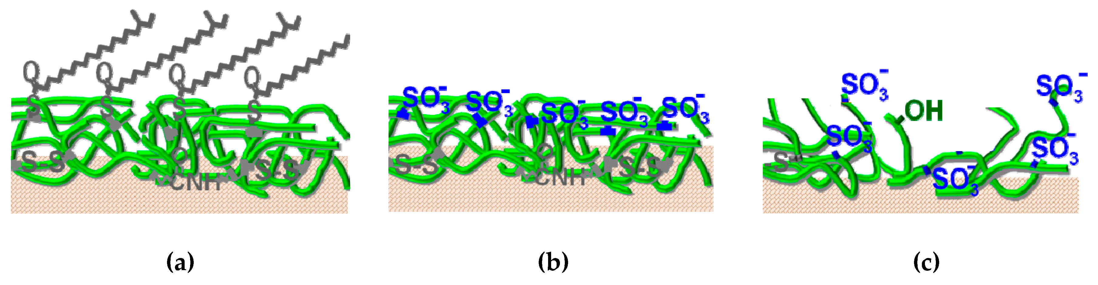 Cosmetics 06 00031 g014 Cosmetics 06 00031 g014