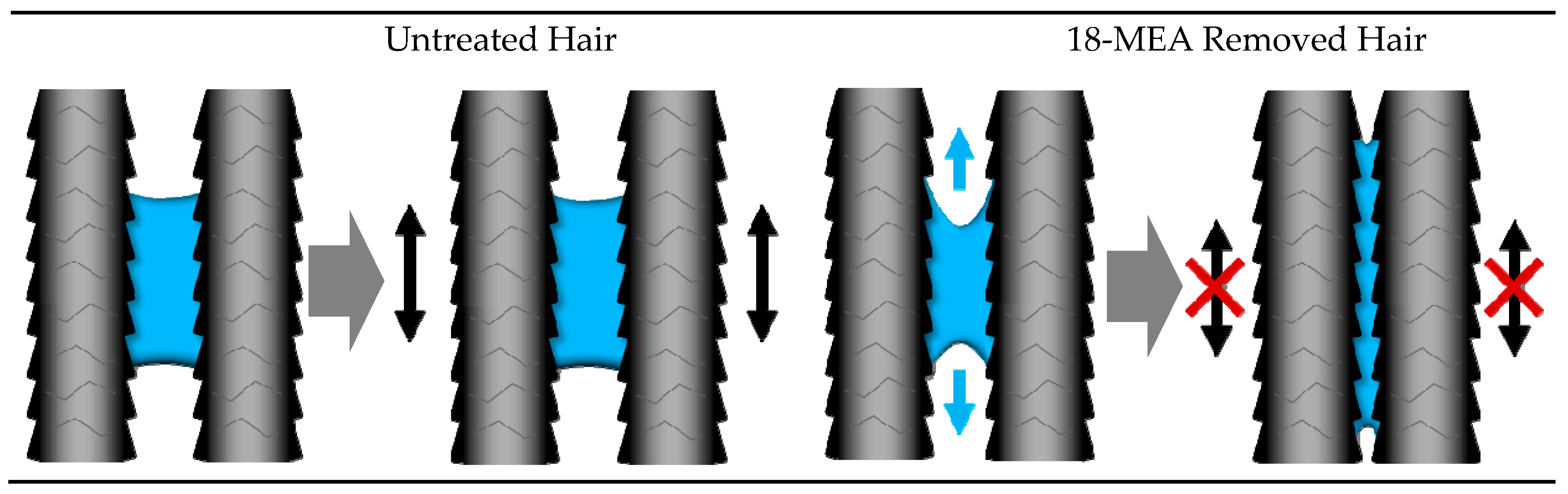 Cosmetics 06 00031 g016 Cosmetics 06 00031 g016