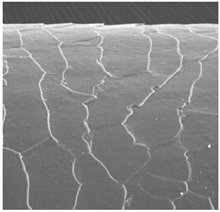 Cosmetics 06 00031 i002 Cosmetics 06 00031 i002