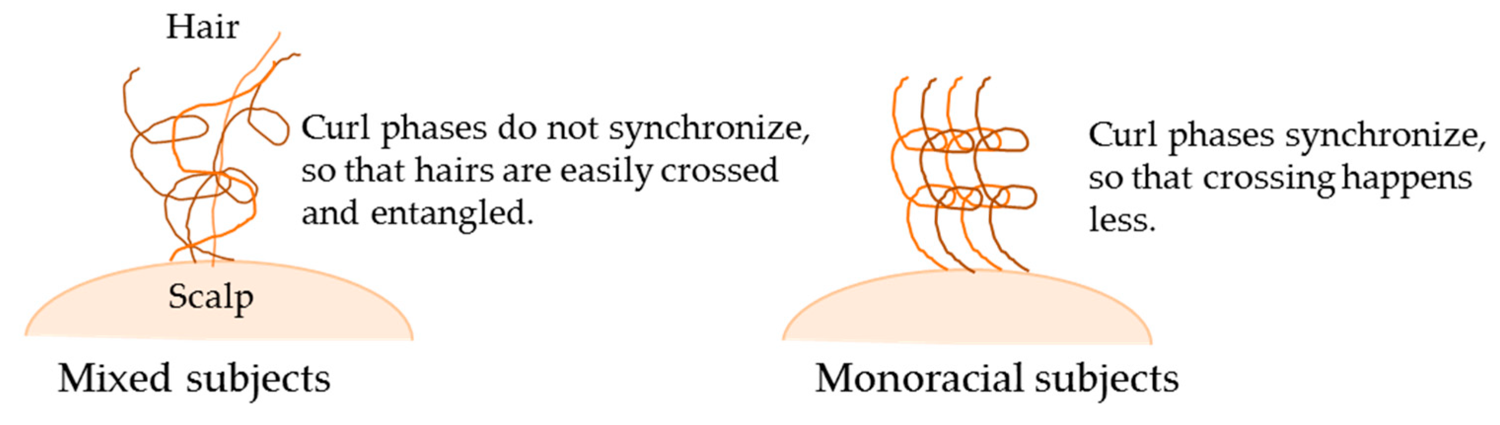 Cosmetics 06 00036 g006 Cosmetics 06 00036 g006