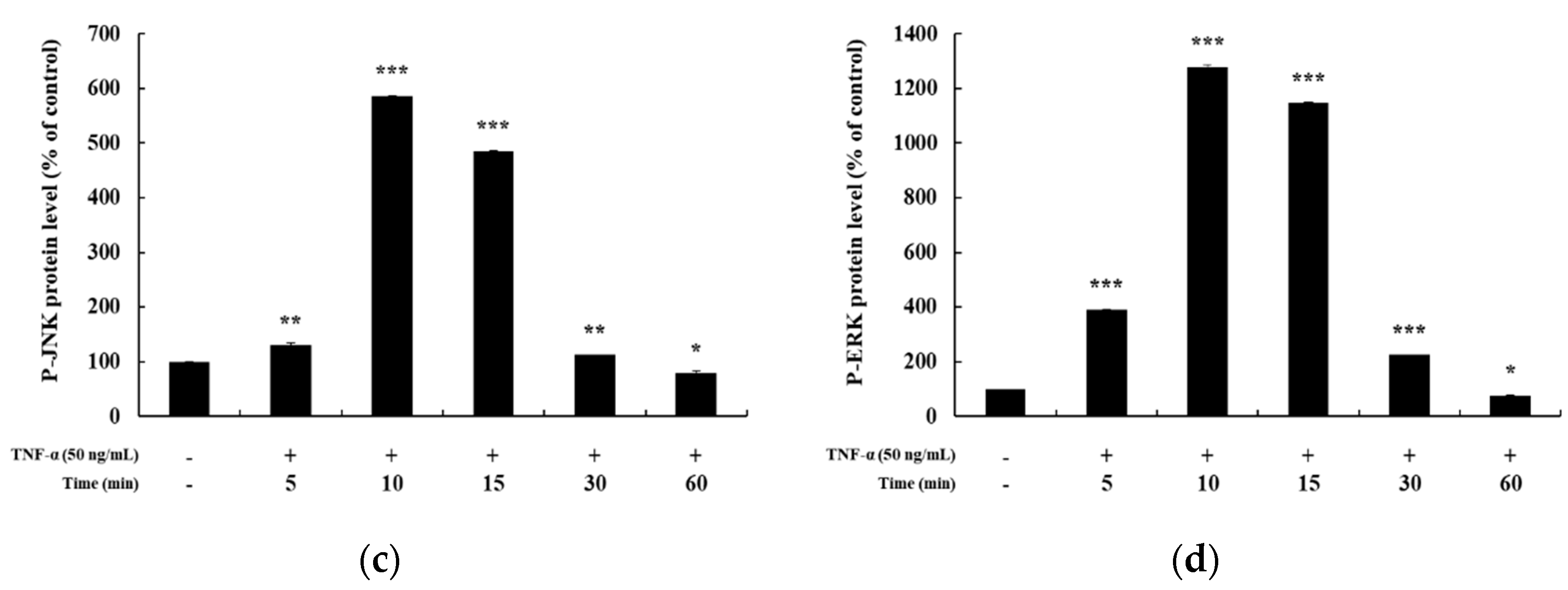 Cosmetics 06 00041 g003b