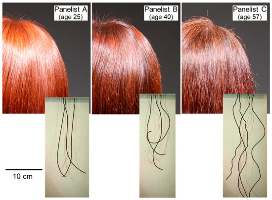 Cosmetics | Free Full-Text | Hair Structures Affecting Hair Appearance Cosmetics | Free Full-Text | Hair Structures Affecting Hair Appearance