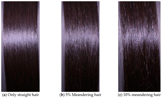 頭髮外觀:(A)100%直髮(髮絲形態(直髮or捲髮)影響-引用自Shinobu Nagase《Hair Structures Affecting Hair Appearance》