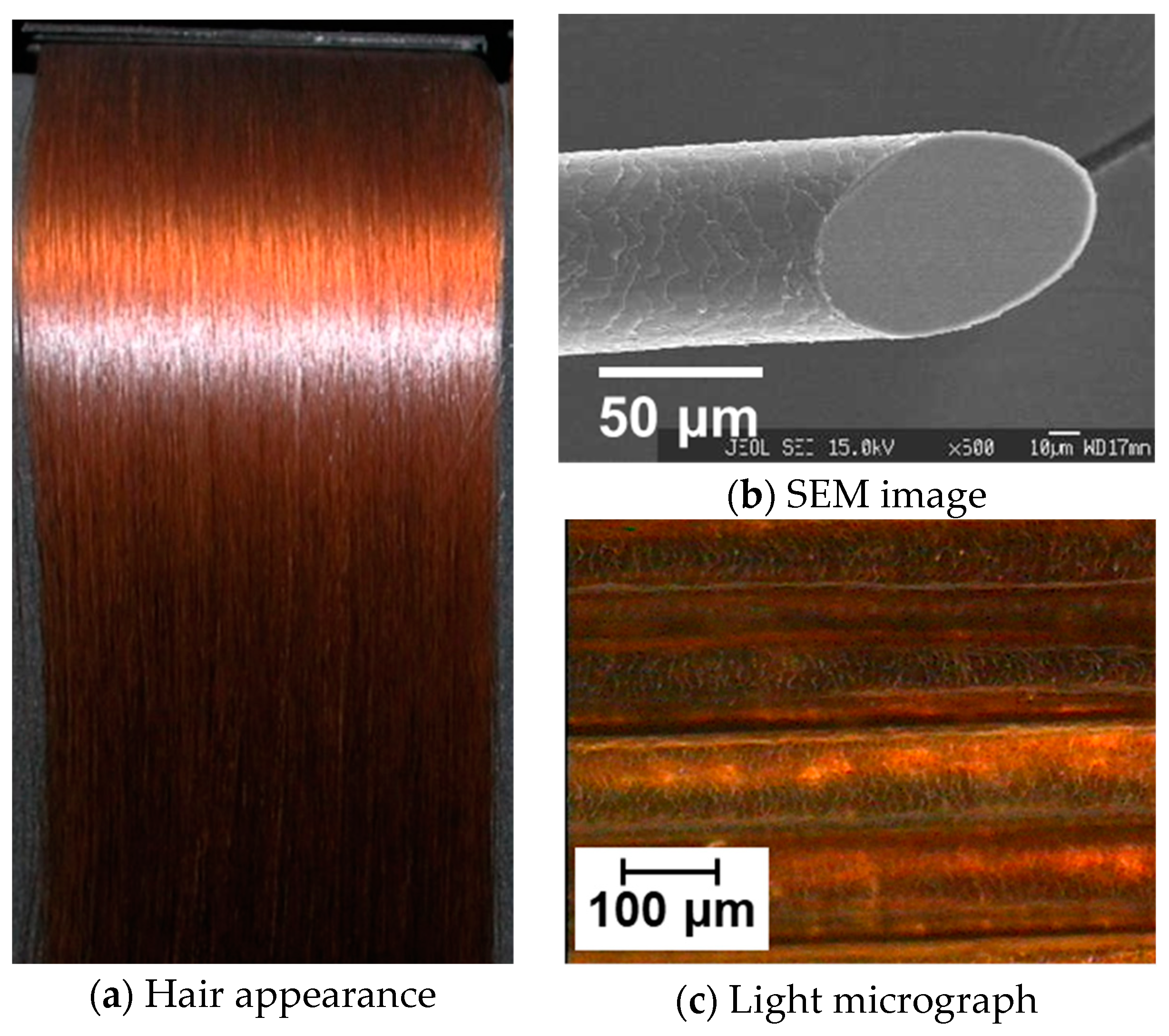 Cosmetics 06 00043 g011