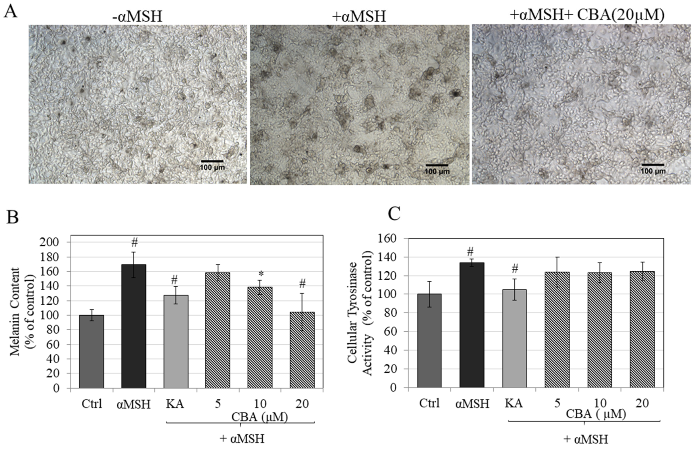 Cosmetics 06 00051 g002 Cosmetics 06 00051 g002