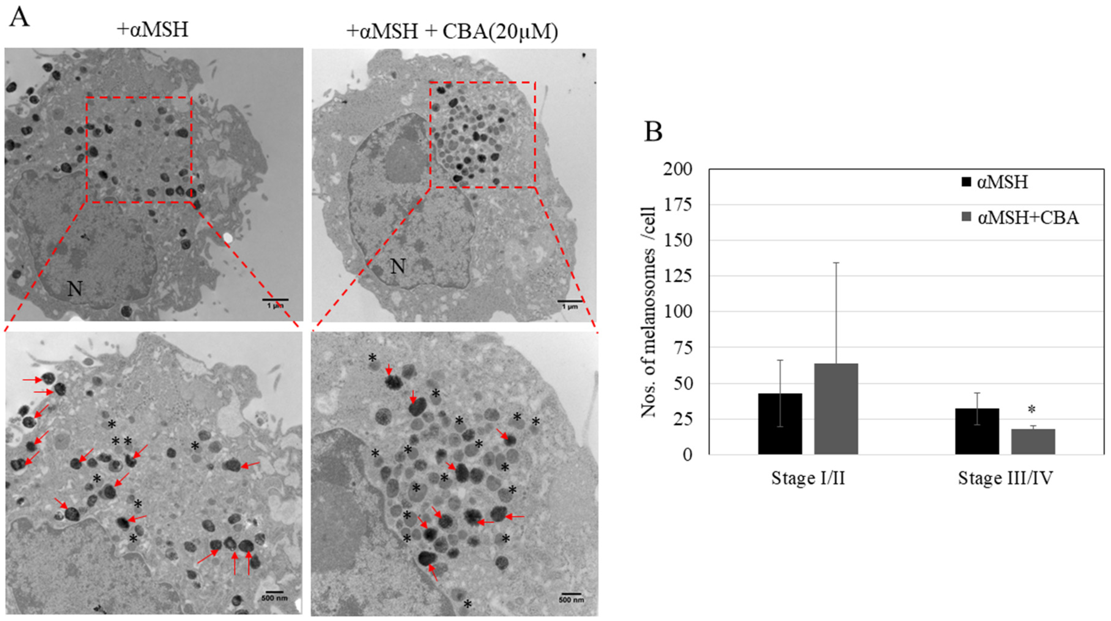 Cosmetics 06 00051 g005 Cosmetics 06 00051 g005