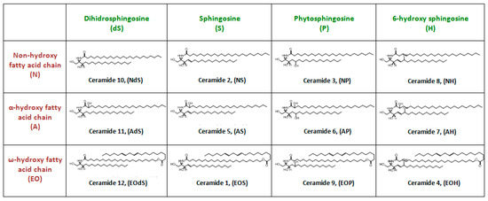 Cosmetics 06 00052 g004 550