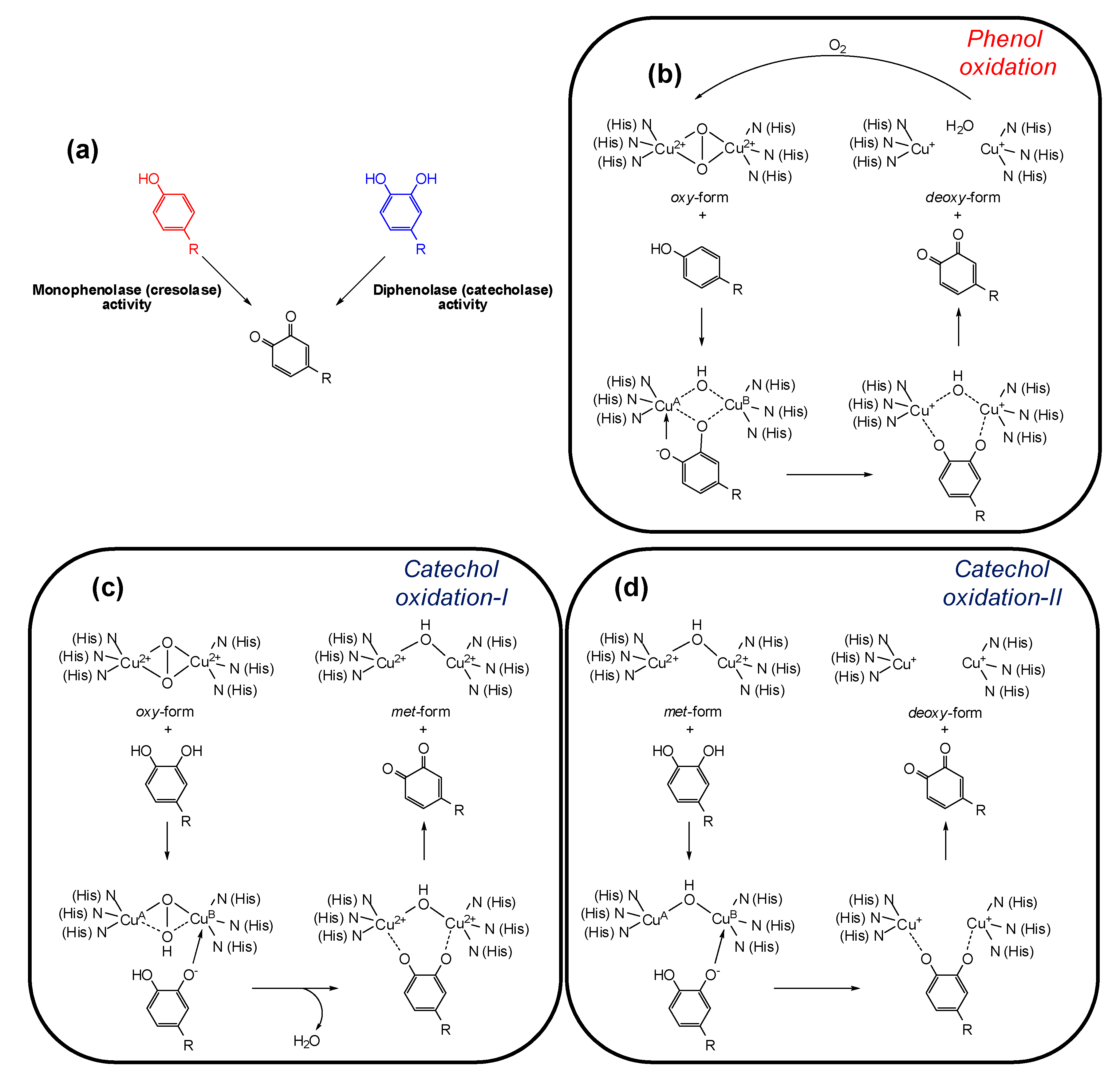 Cosmetics 06 00057 g002