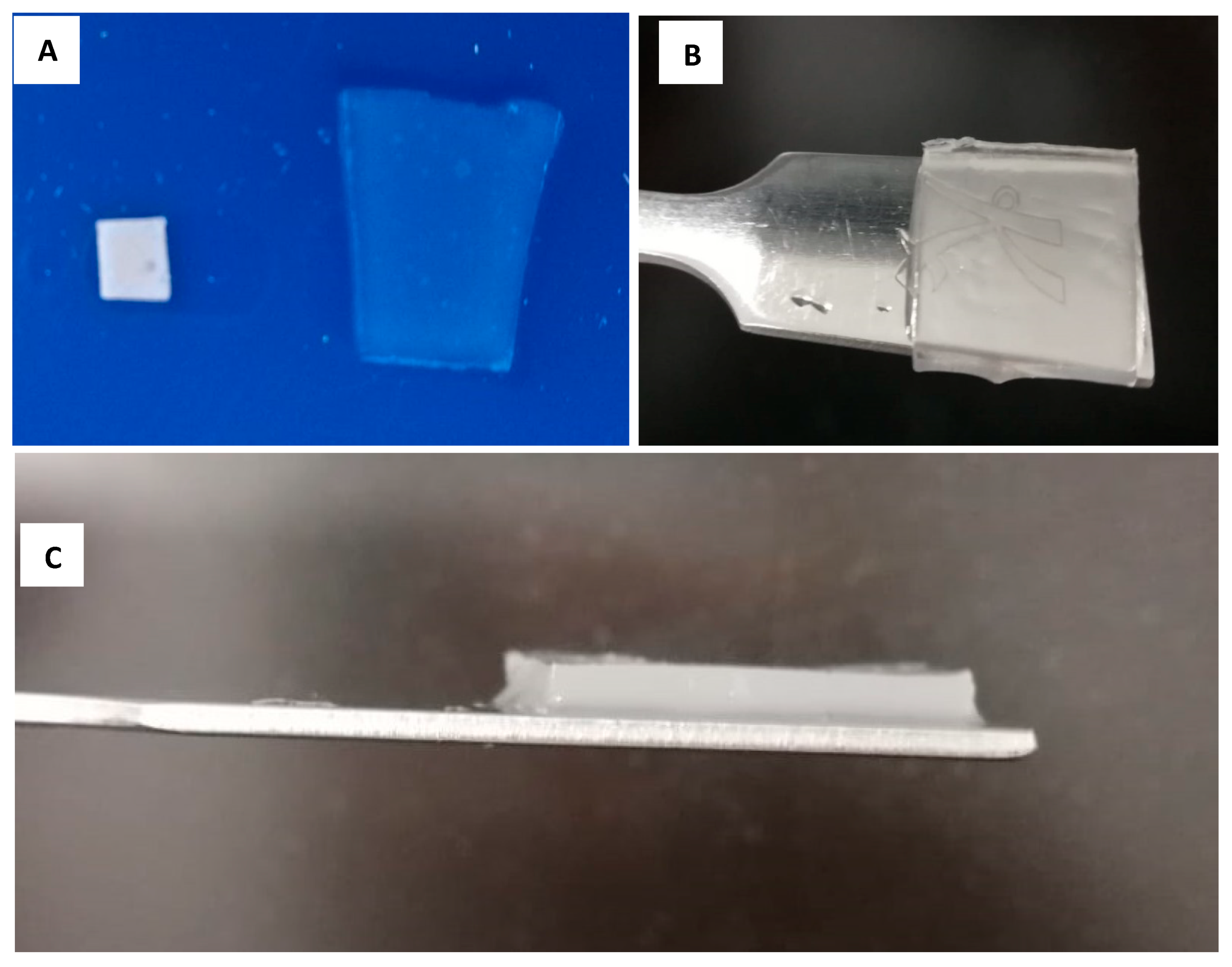 Cosmetics 06 00059 g002 Cosmetics 06 00059 g002