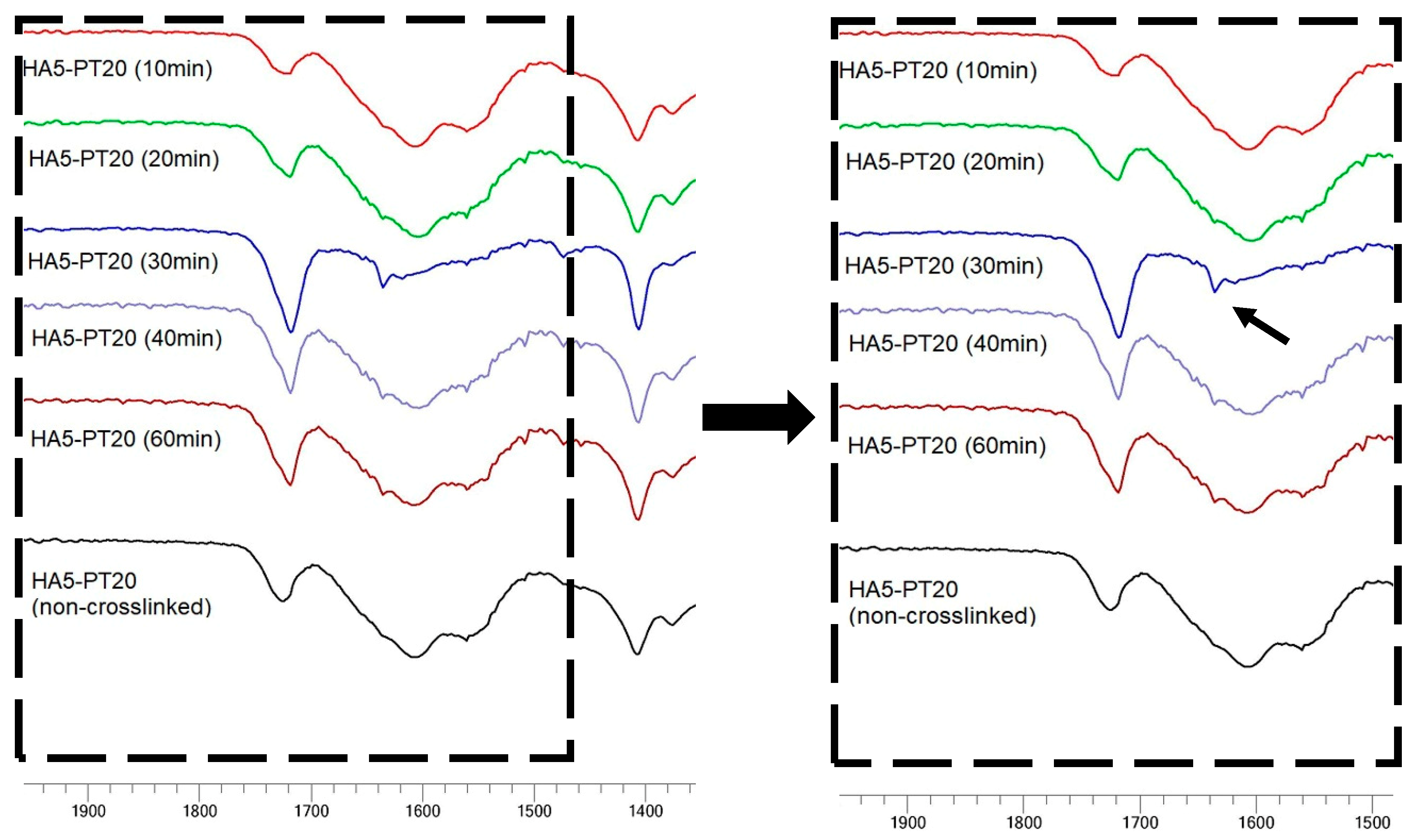 Cosmetics 06 00059 g009 Cosmetics 06 00059 g009