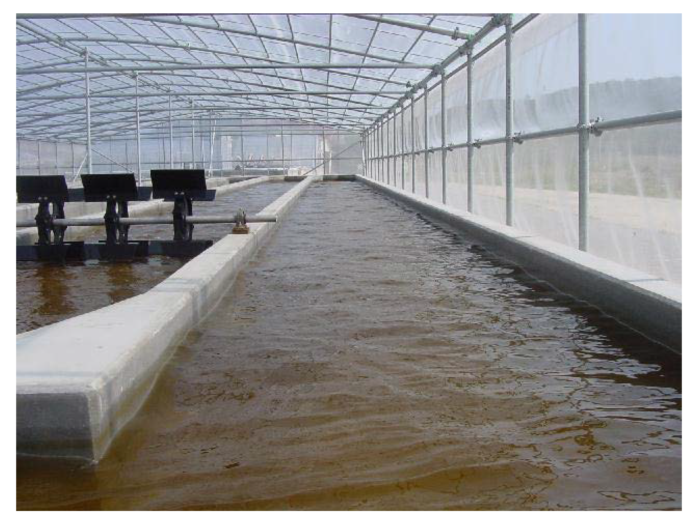 Cosmetics 06 00060 g002