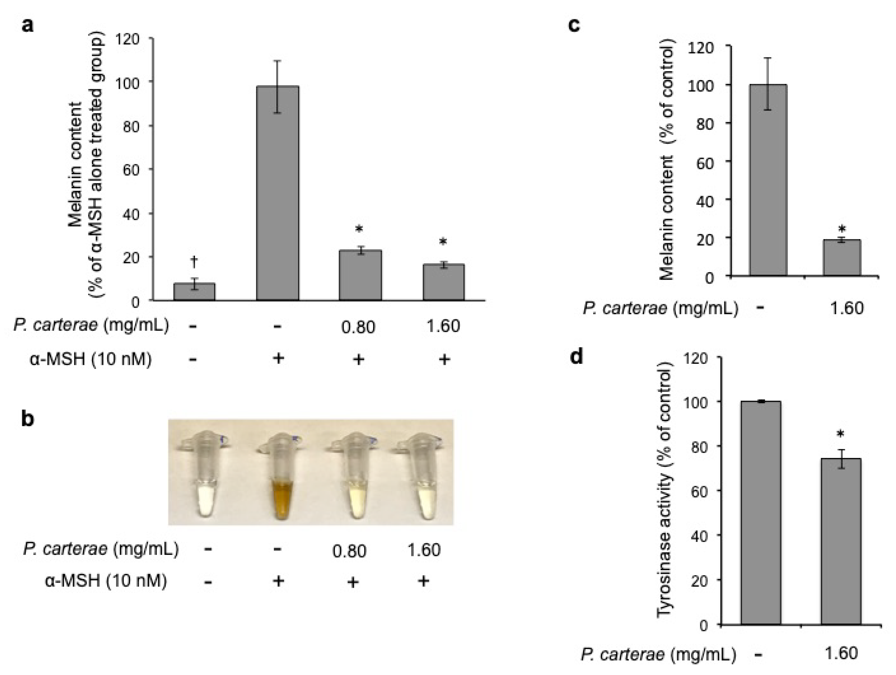 Cosmetics 06 00060 g004