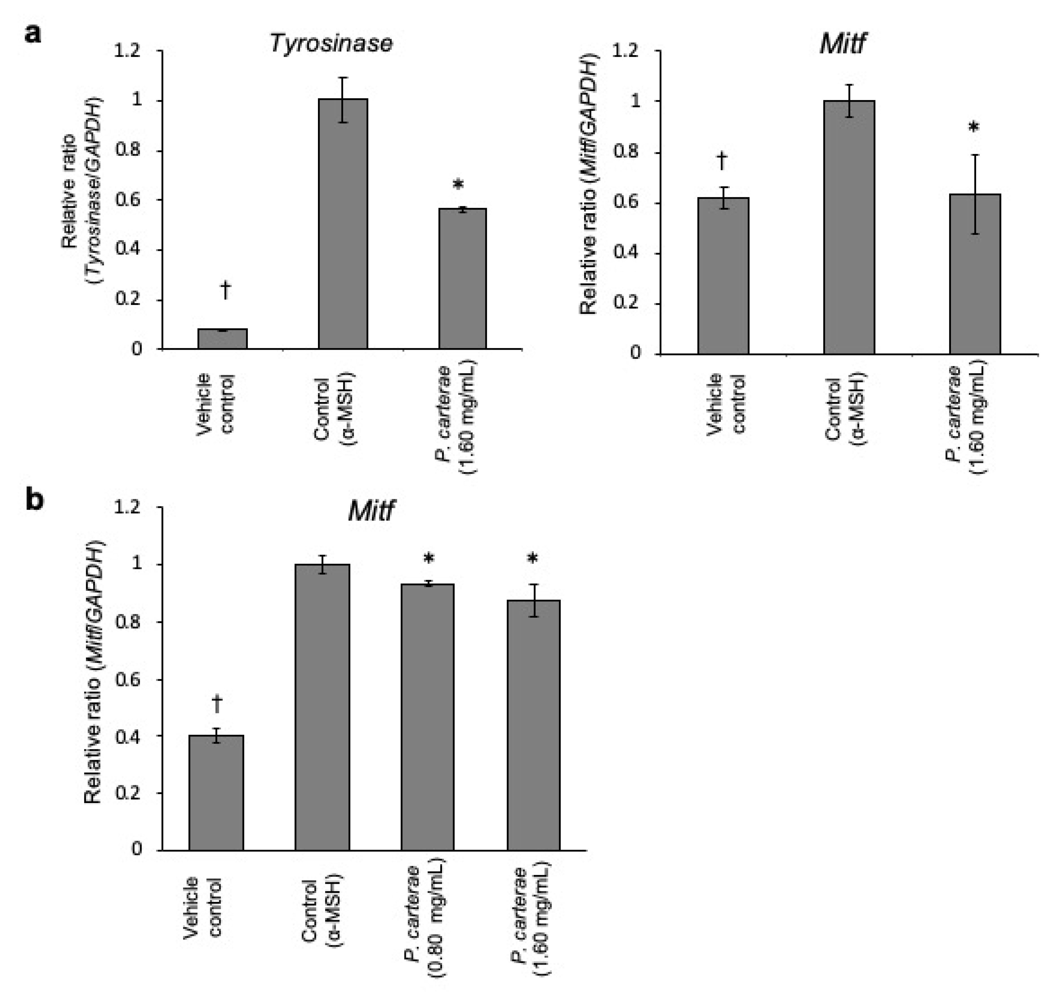 Cosmetics 06 00060 g007