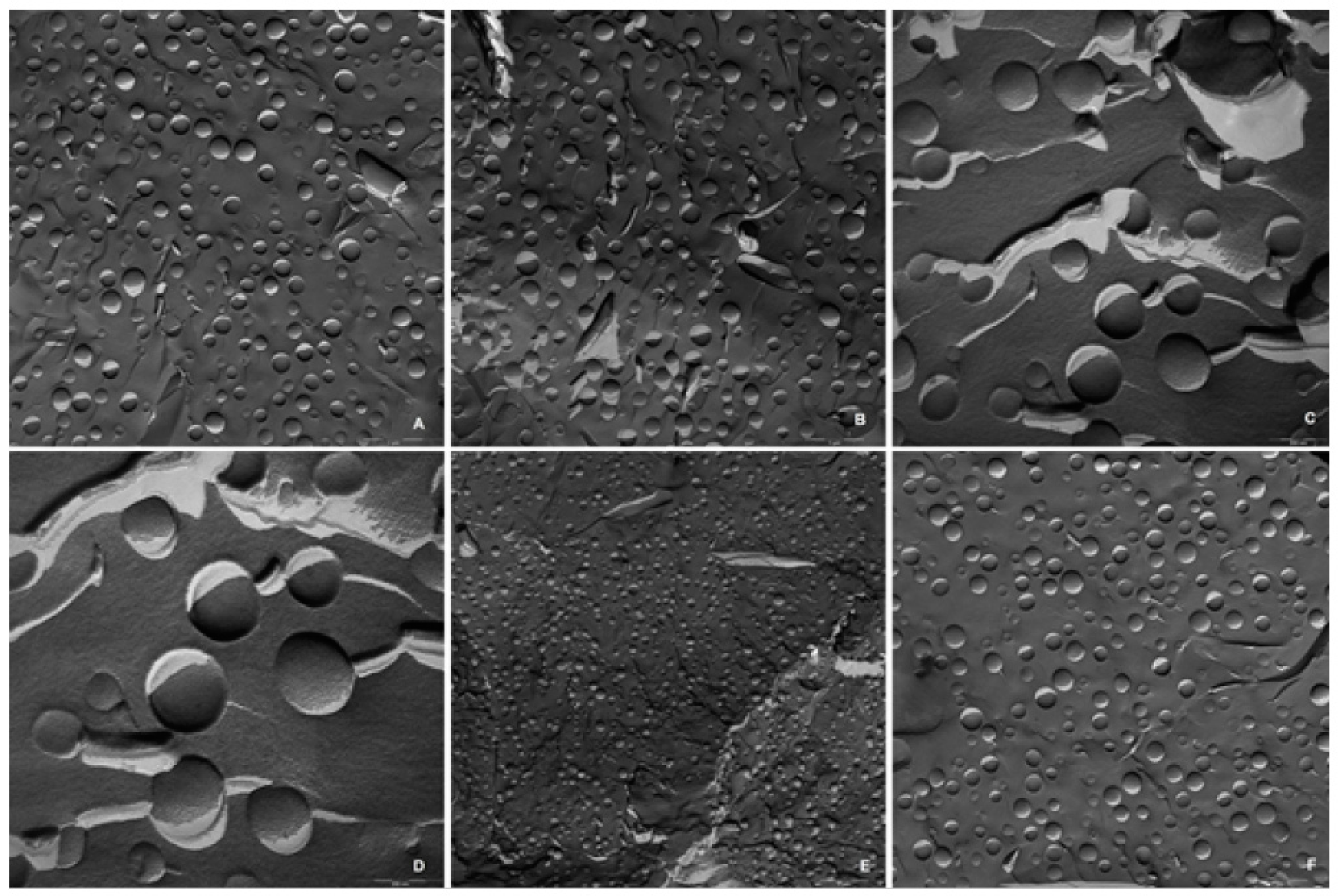 Cosmetics 06 00062 g001 550