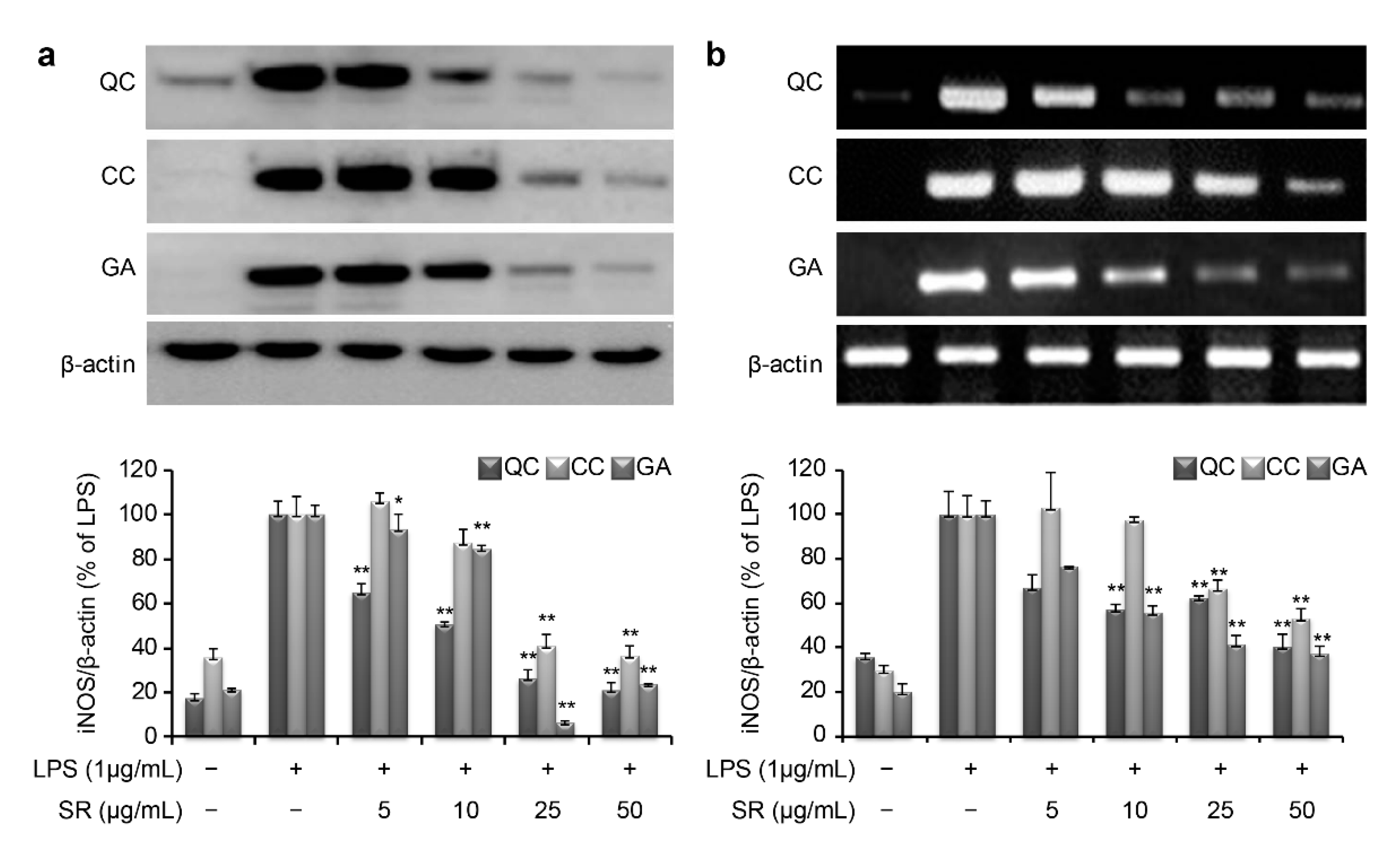 Cosmetics 06 00068 g005