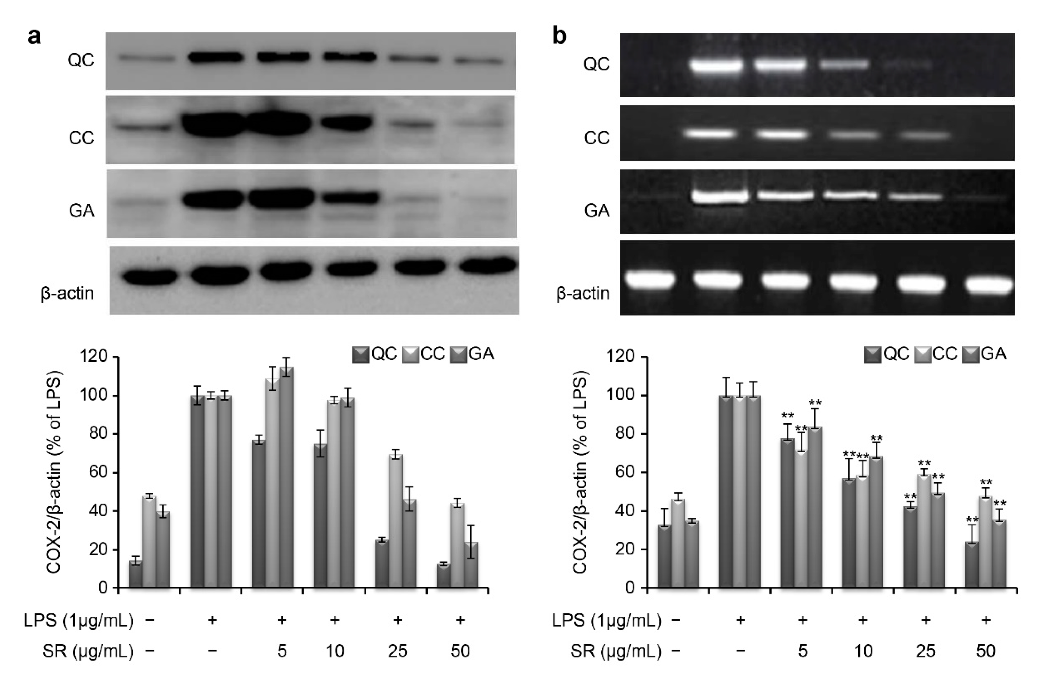 Cosmetics 06 00068 g006