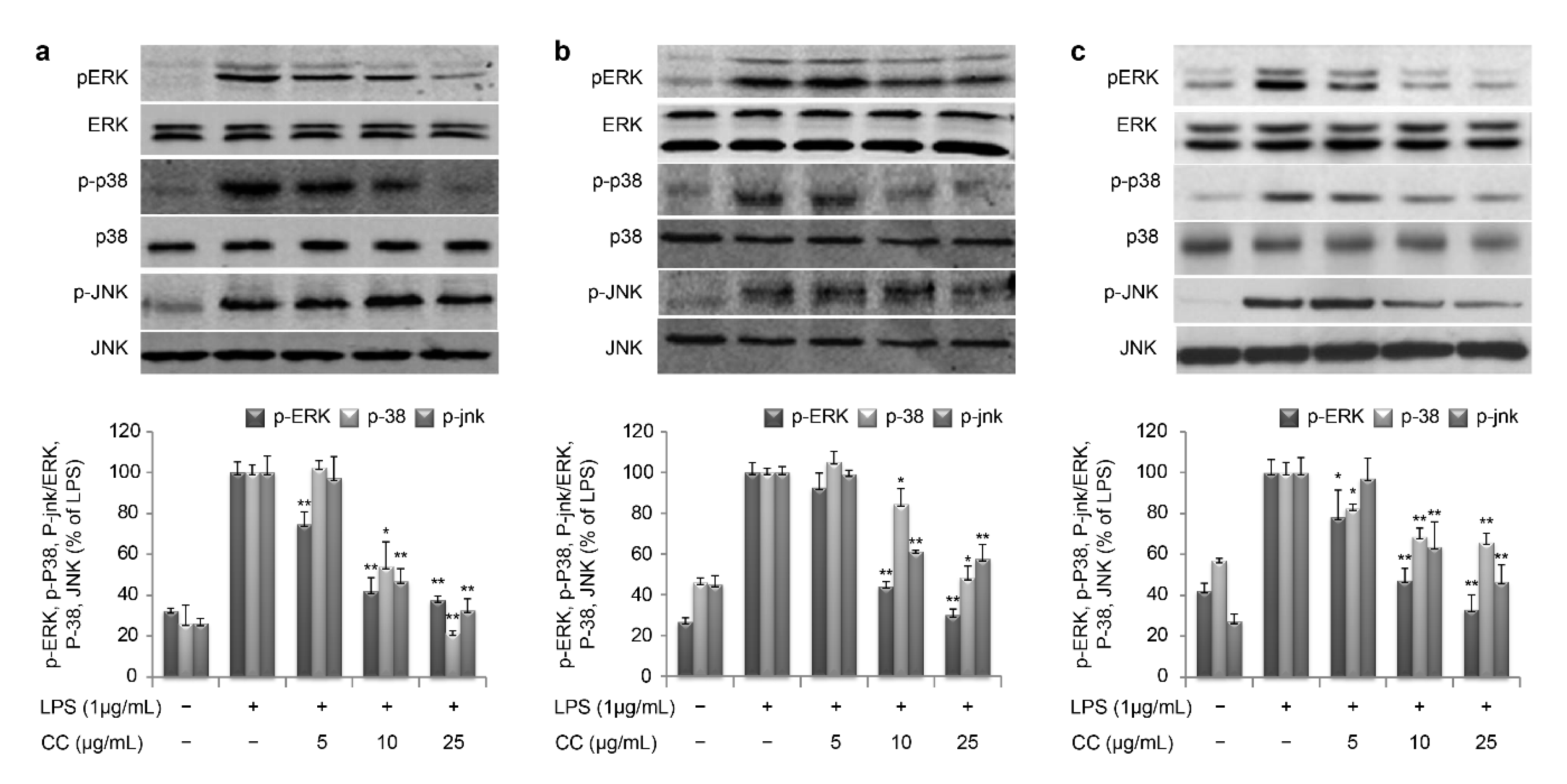 Cosmetics 06 00068 g008