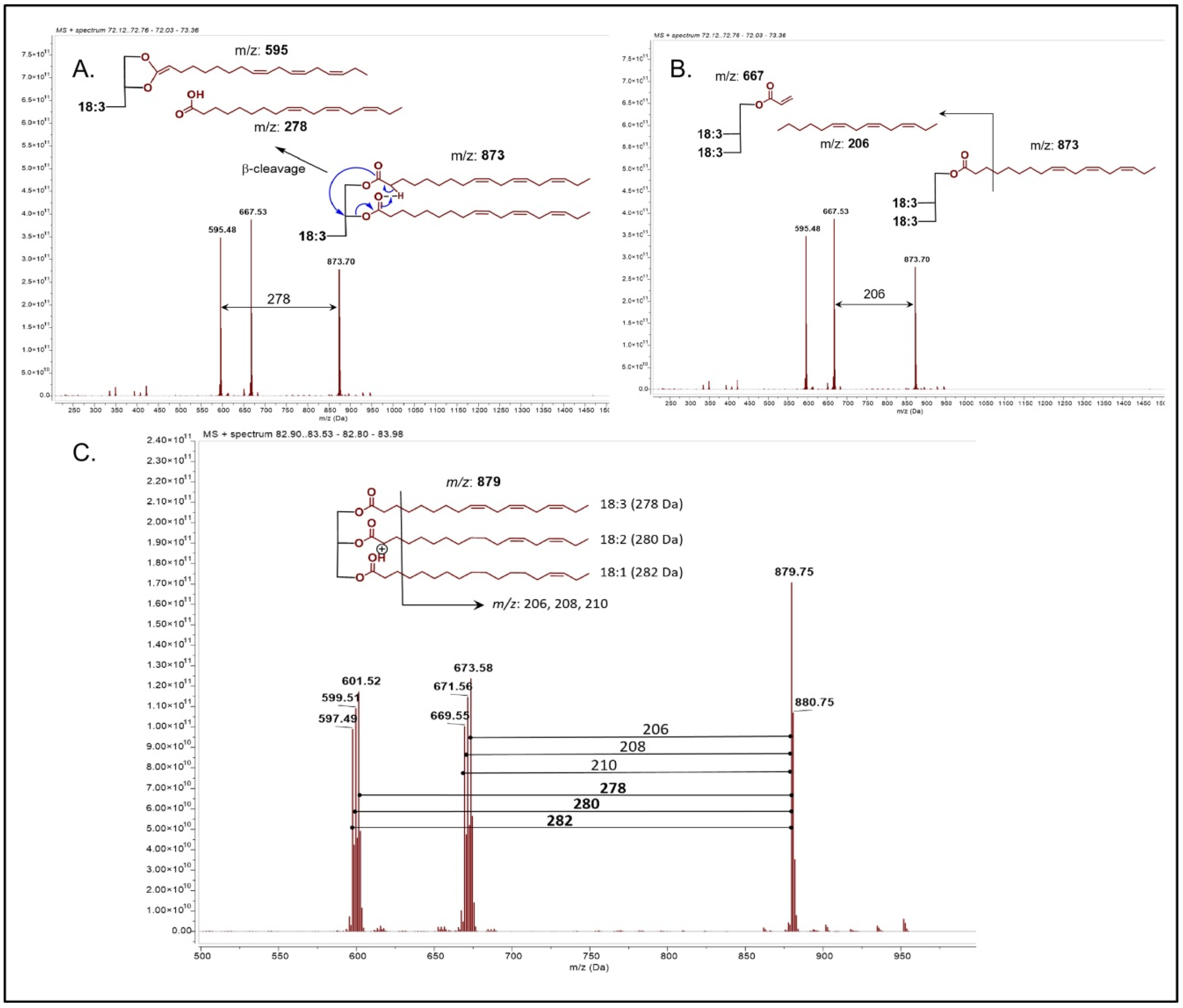 Cosmetics 06 00070 g001