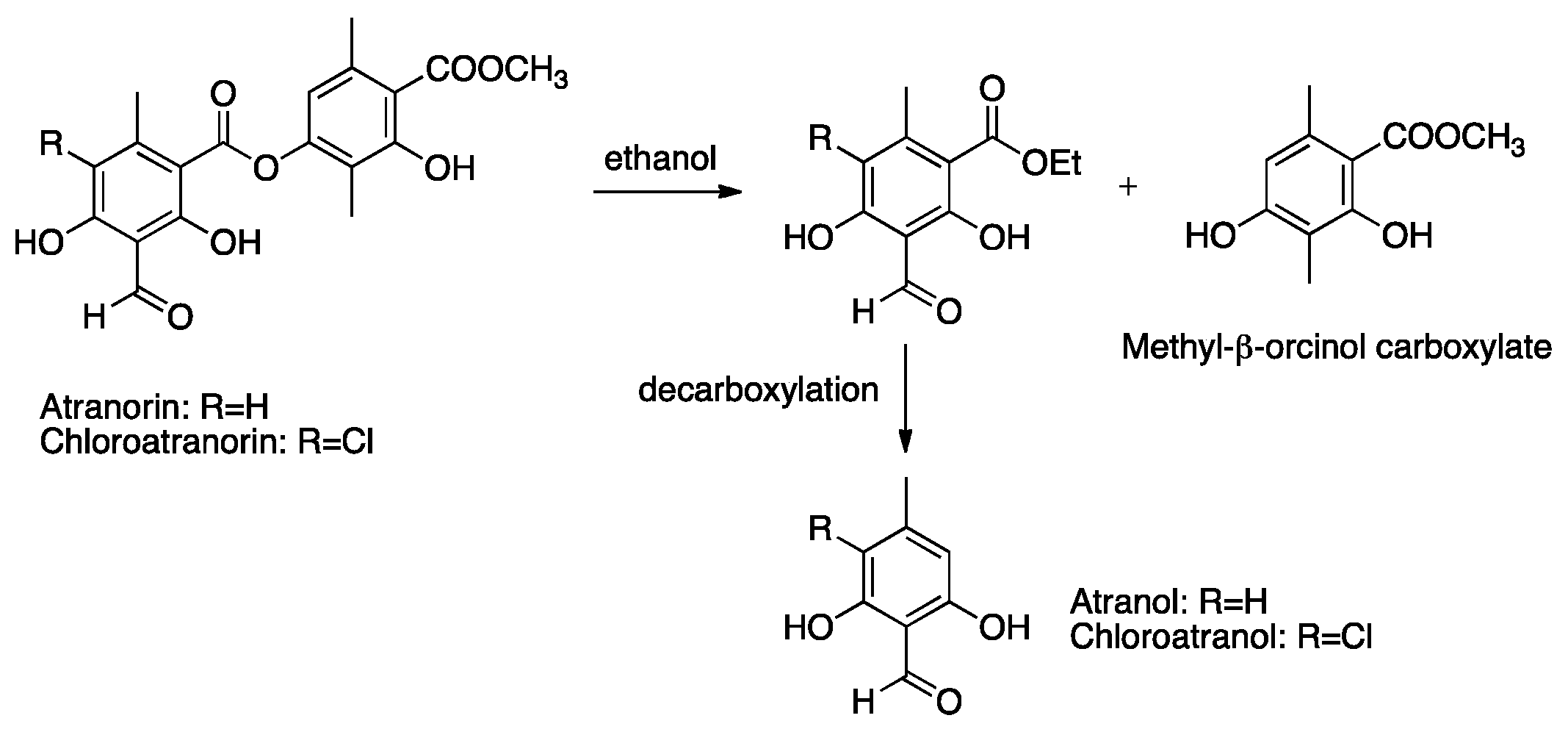 Cosmetics 06 00071 g003