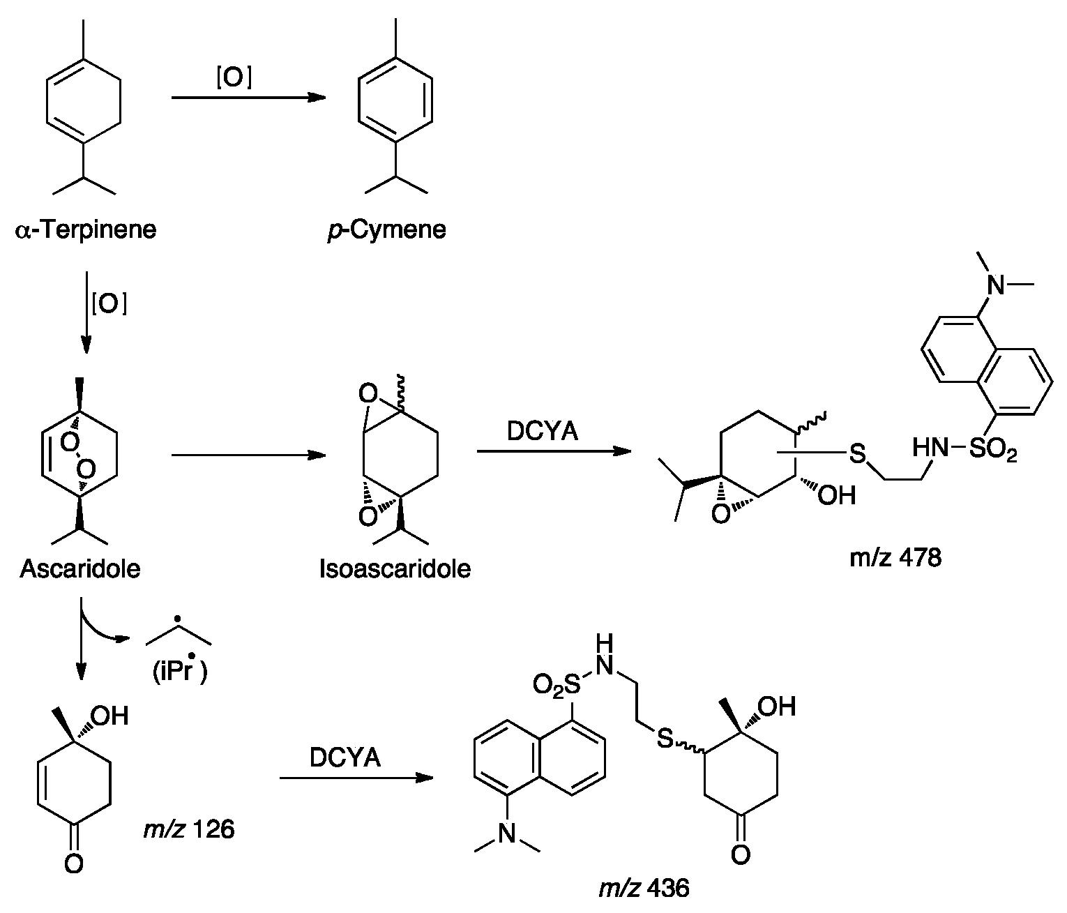 Cosmetics 06 00071 g005