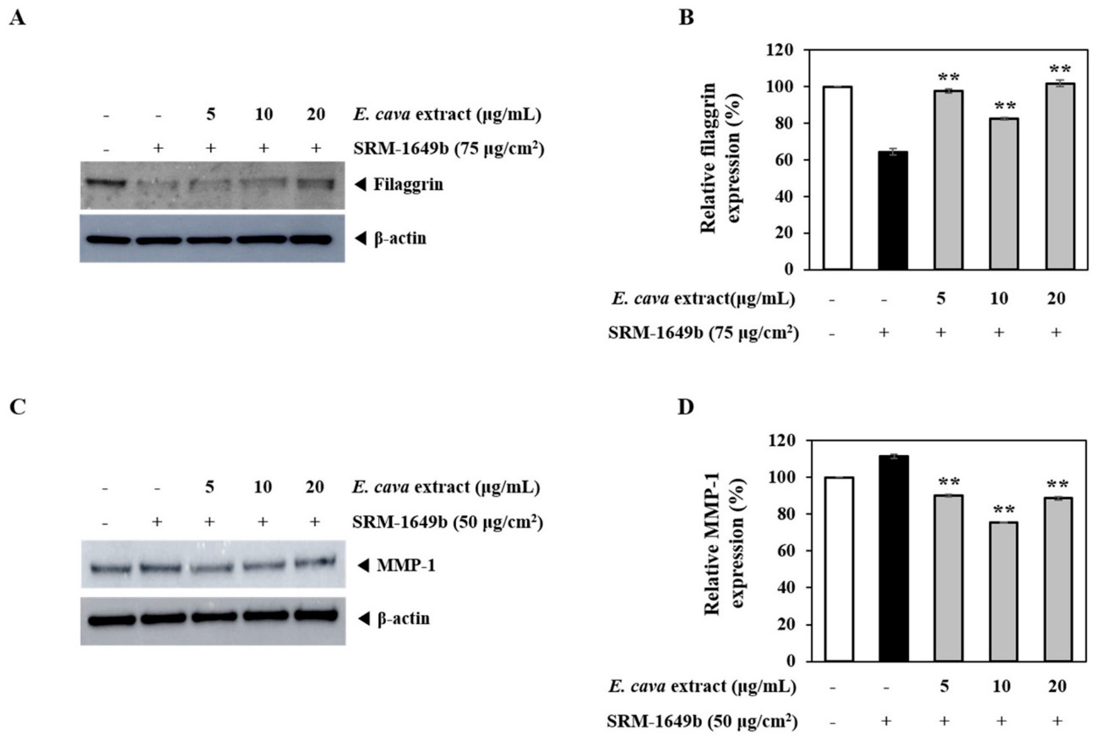 Cosmetics 07 00009 g002 Cosmetics 07 00009 g002