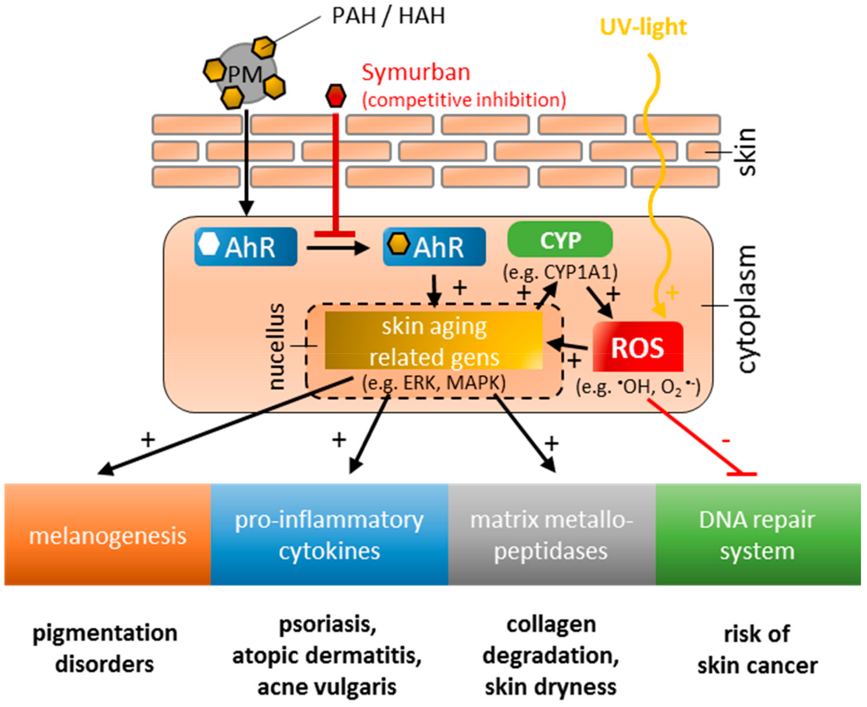Cosmetics 07 00017 g001 Cosmetics 07 00017 g001