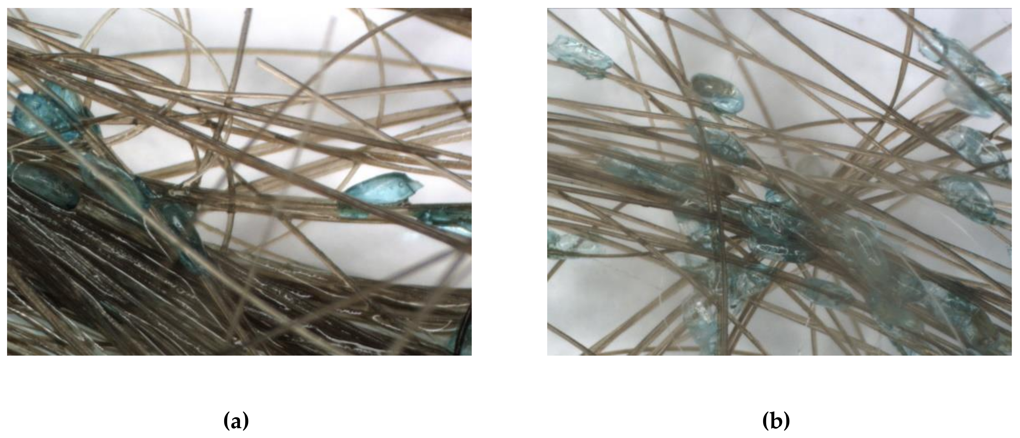 Cosmetics 07 00019 g003