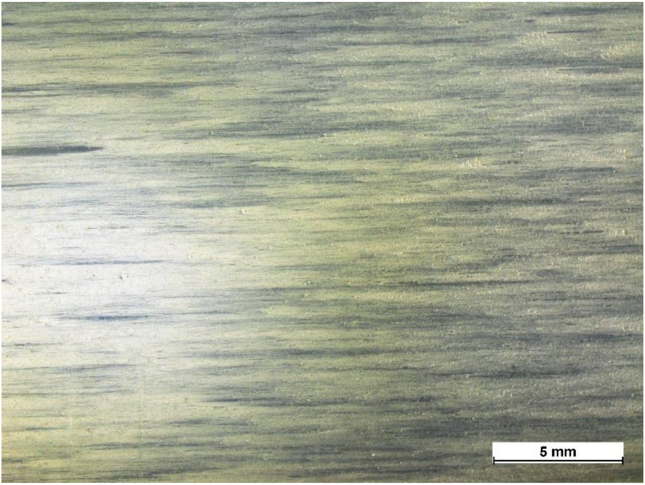 Cosmetics 07 00020 g001 550