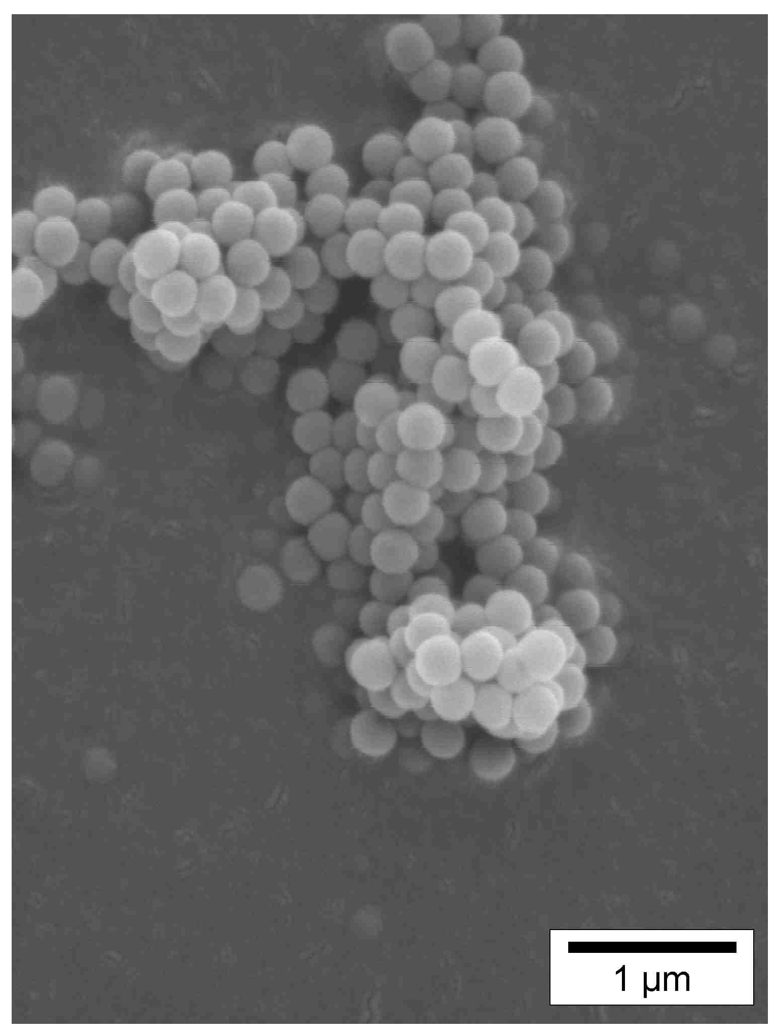 Cosmetics 07 00029 g003 Cosmetics 07 00029 g003