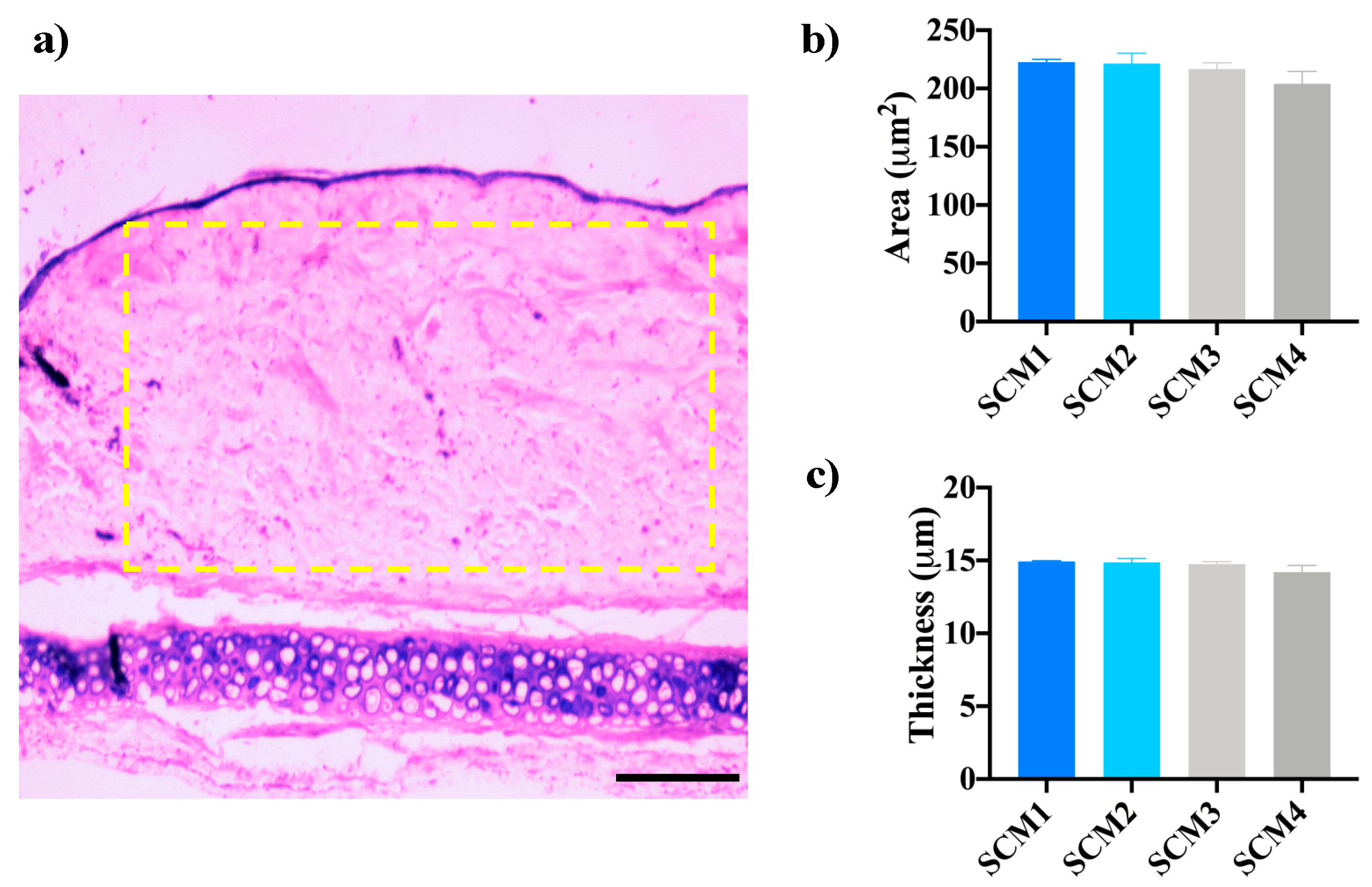 Cosmetics 07 00035 g002