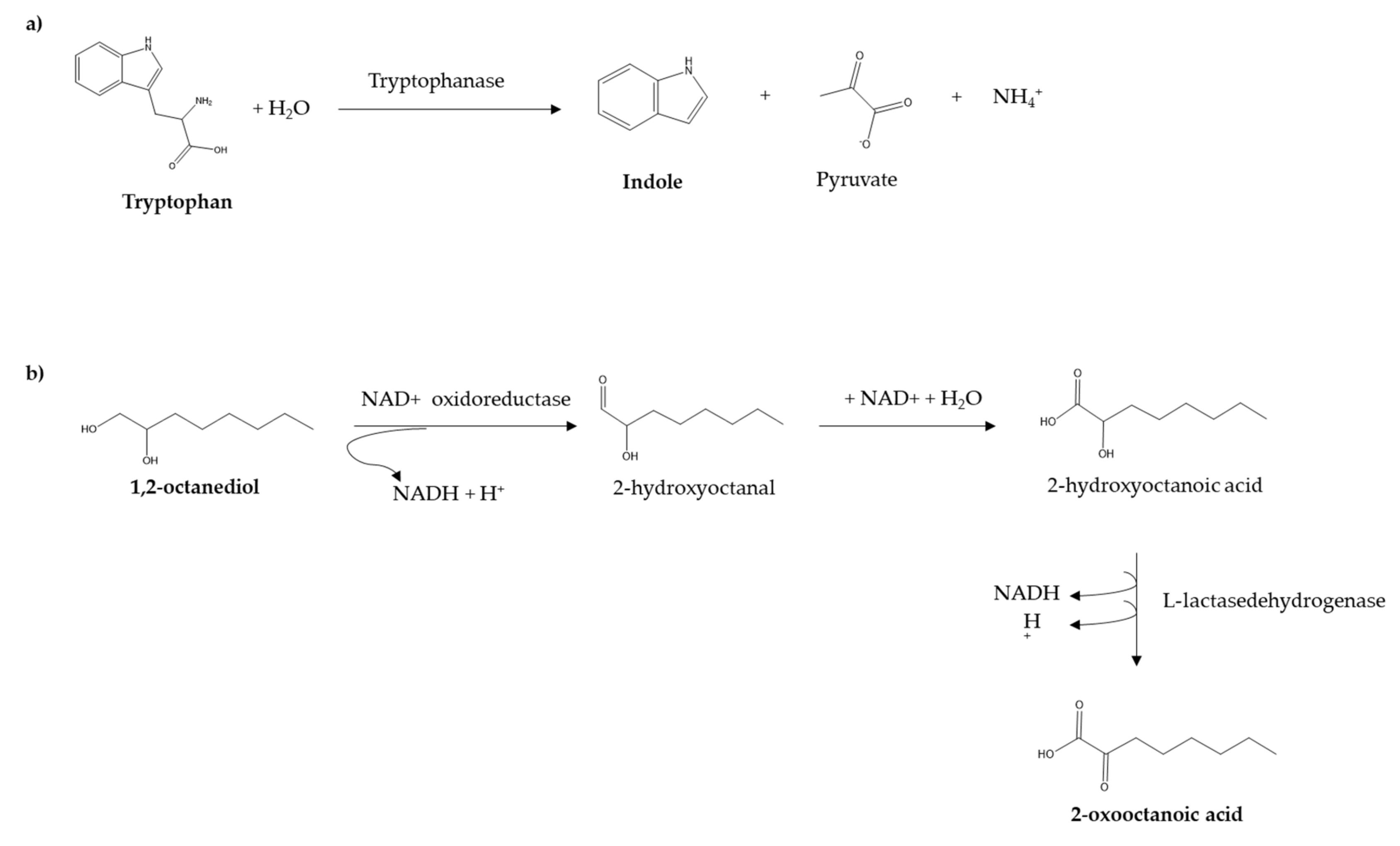 Cosmetics 07 00038 g009 Cosmetics 07 00038 g009