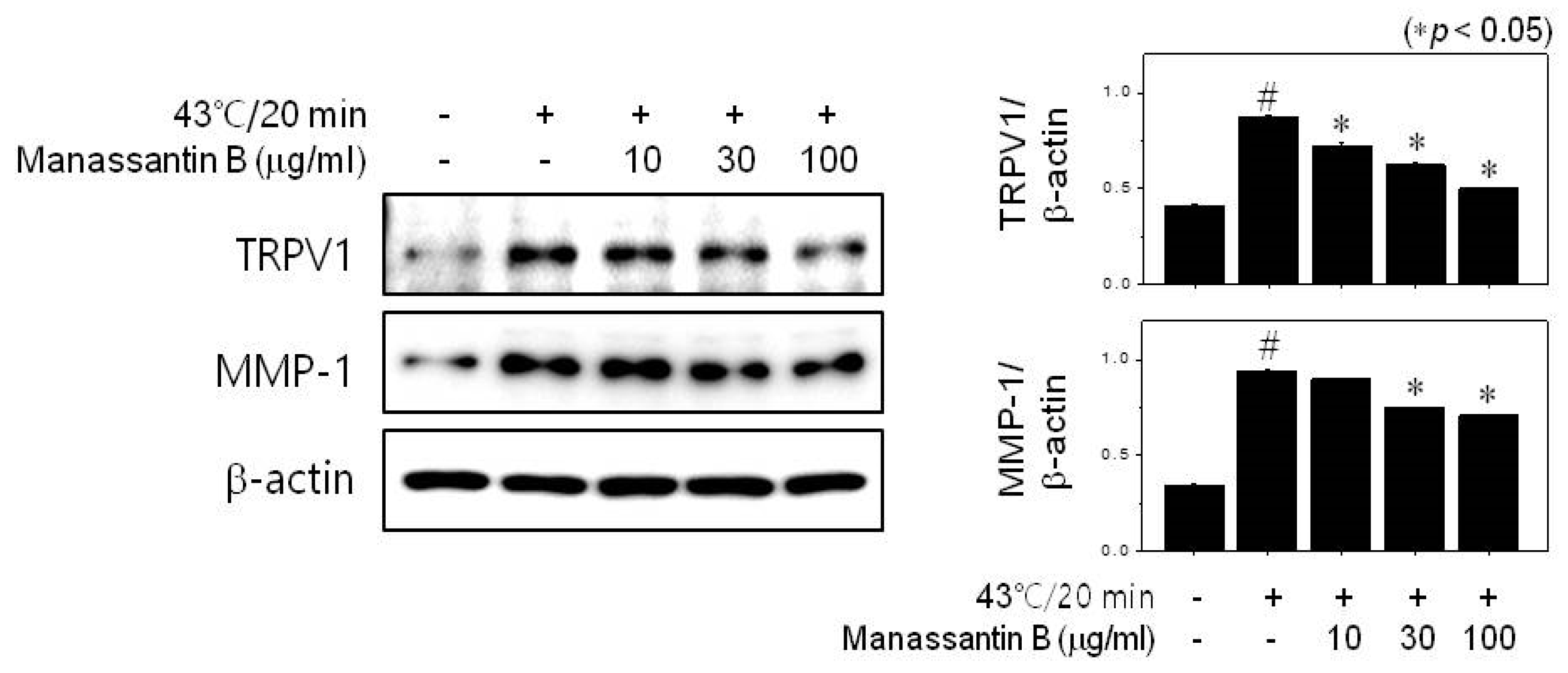 Cosmetics 07 00047 g003 Cosmetics 07 00047 g003