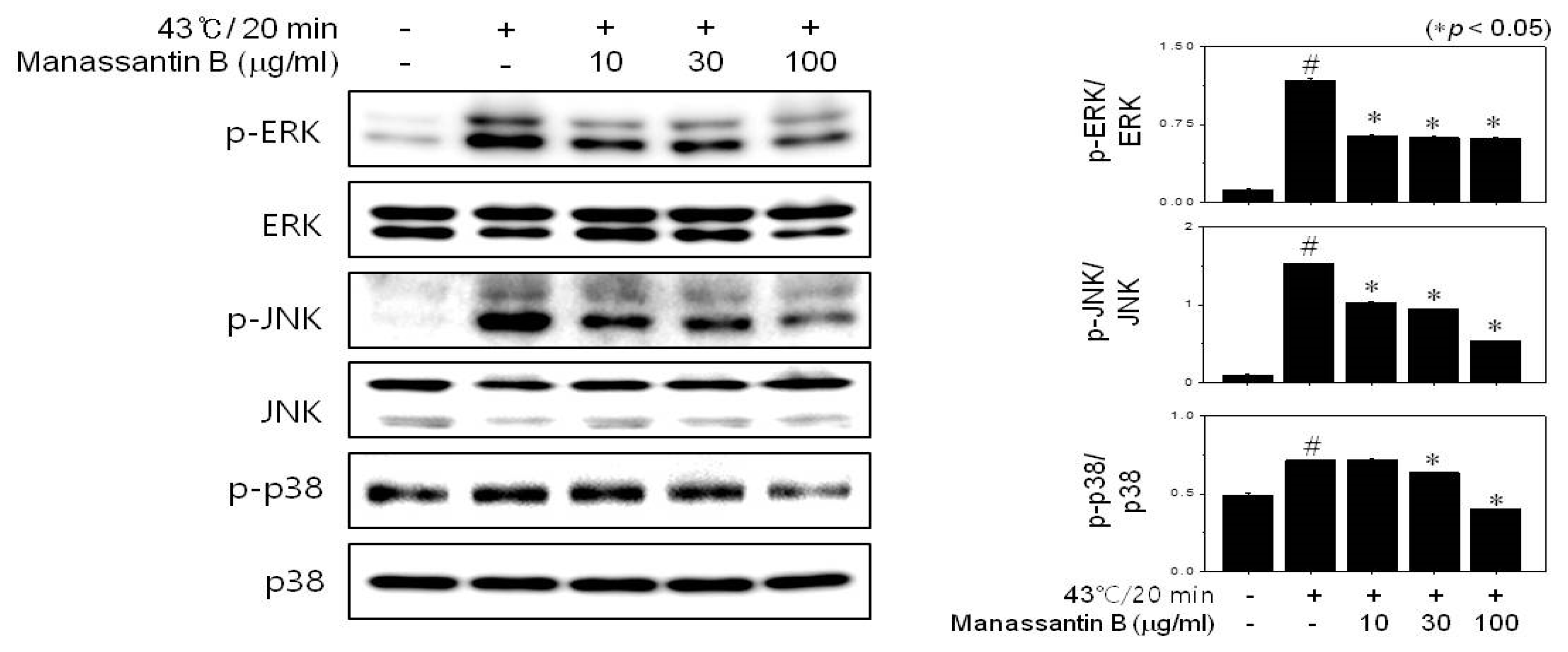 Cosmetics 07 00047 g005 Cosmetics 07 00047 g005