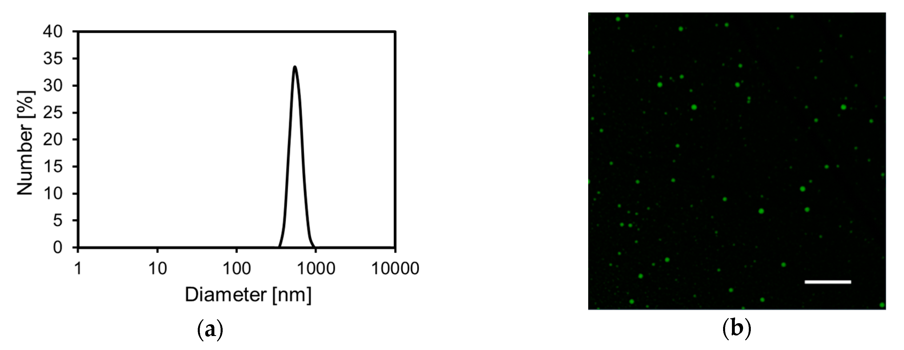 Cosmetics 07 00052 g002