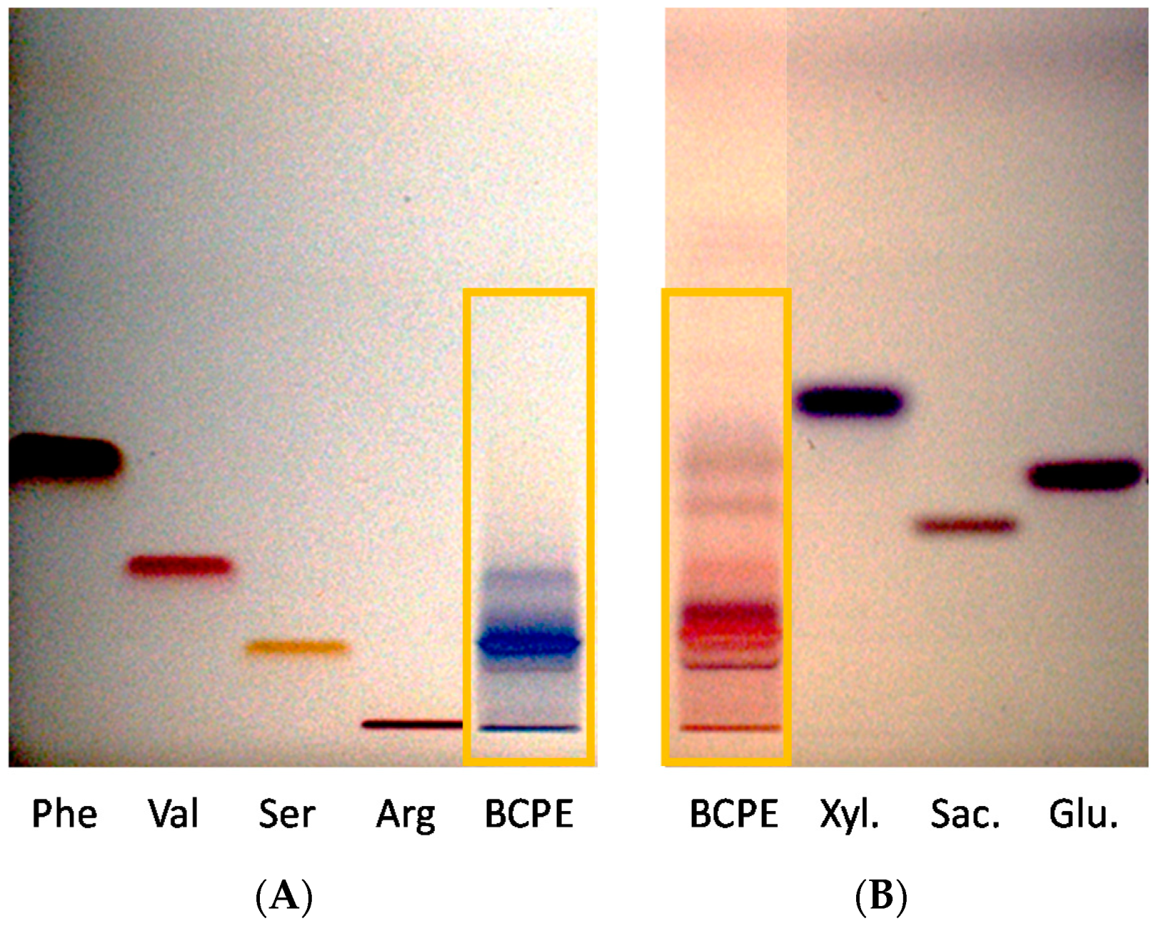 Cosmetics 07 00056 g003 Cosmetics 07 00056 g003