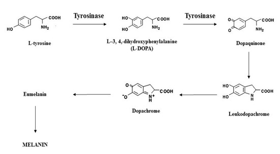 Cosmetics 07 00060 sch001 550