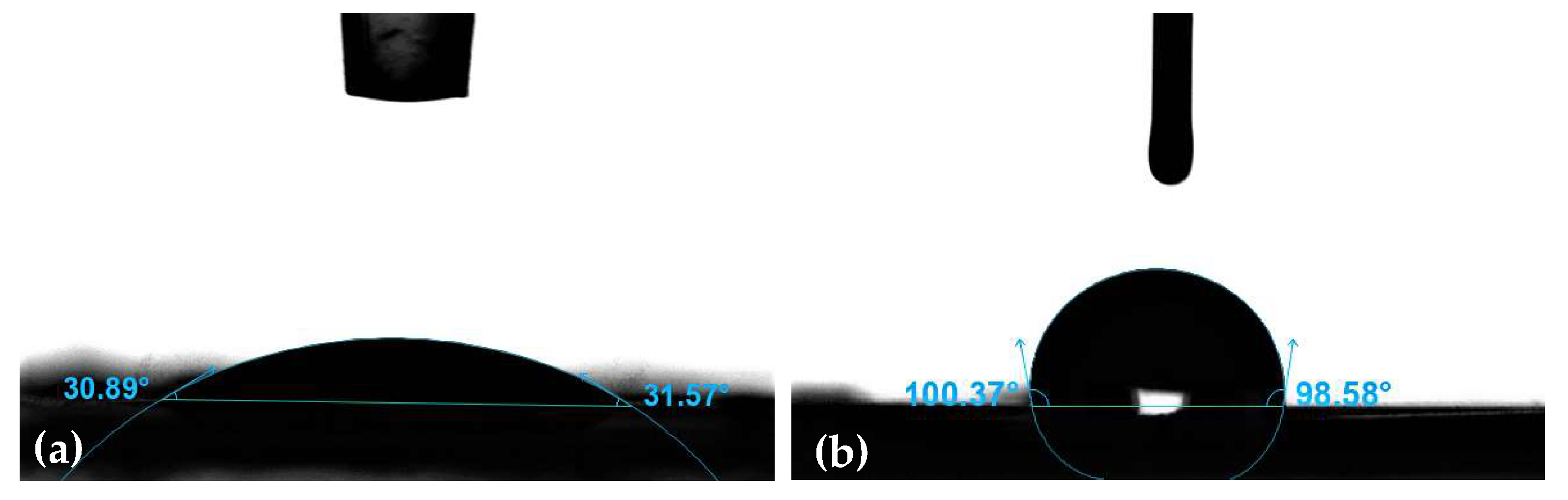 Cosmetics 07 00062 g002 Cosmetics 07 00062 g002