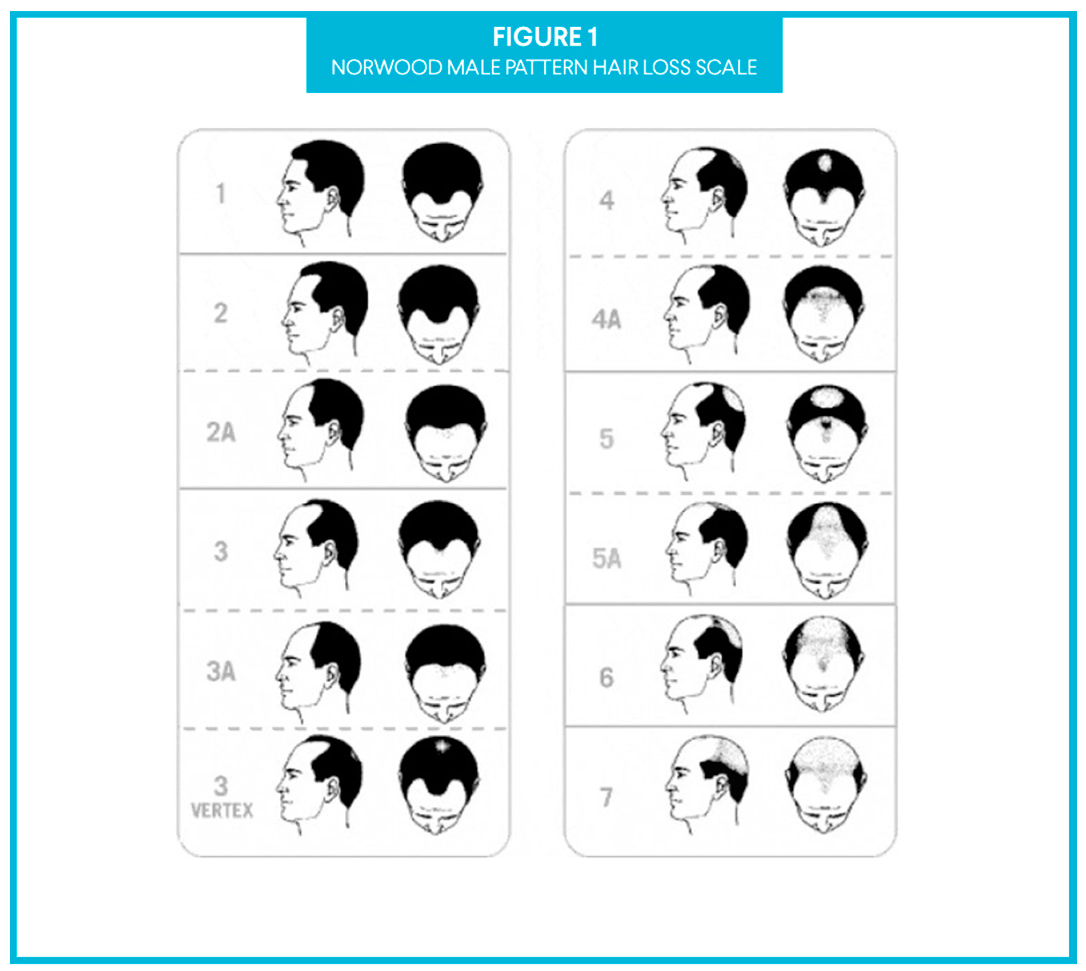 Cosmetics 07 00065 g001 Cosmetics 07 00065 g001