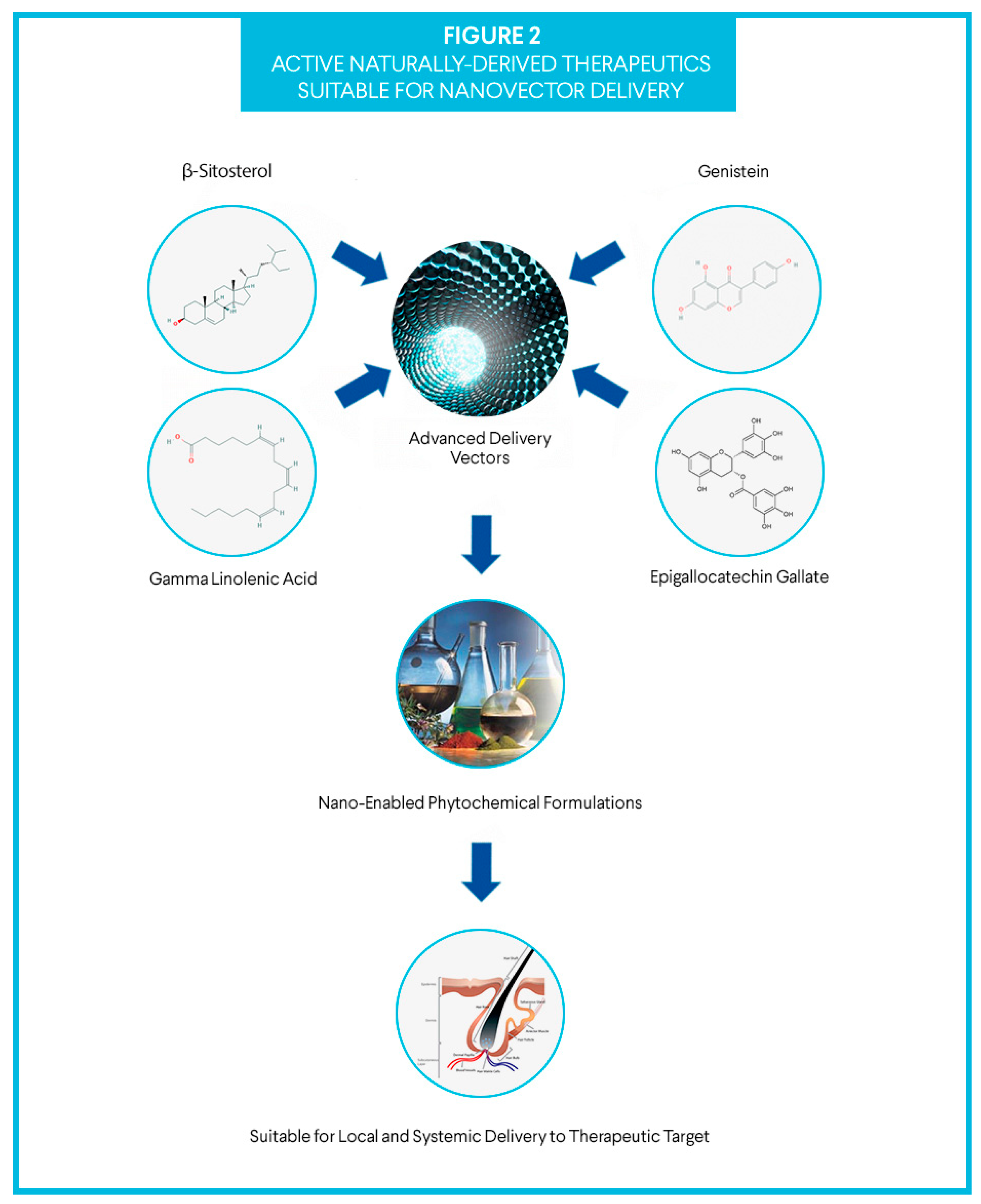 Cosmetics 07 00065 g002 Cosmetics 07 00065 g002