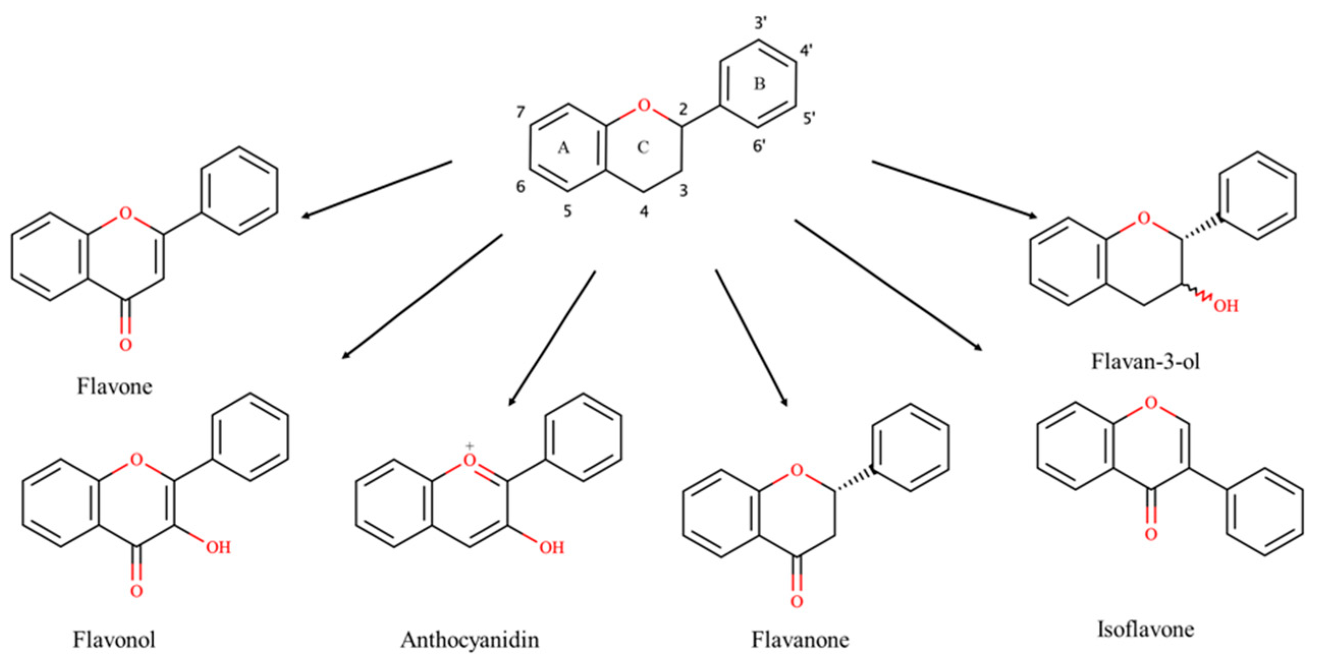Cosmetics 07 00071 g001