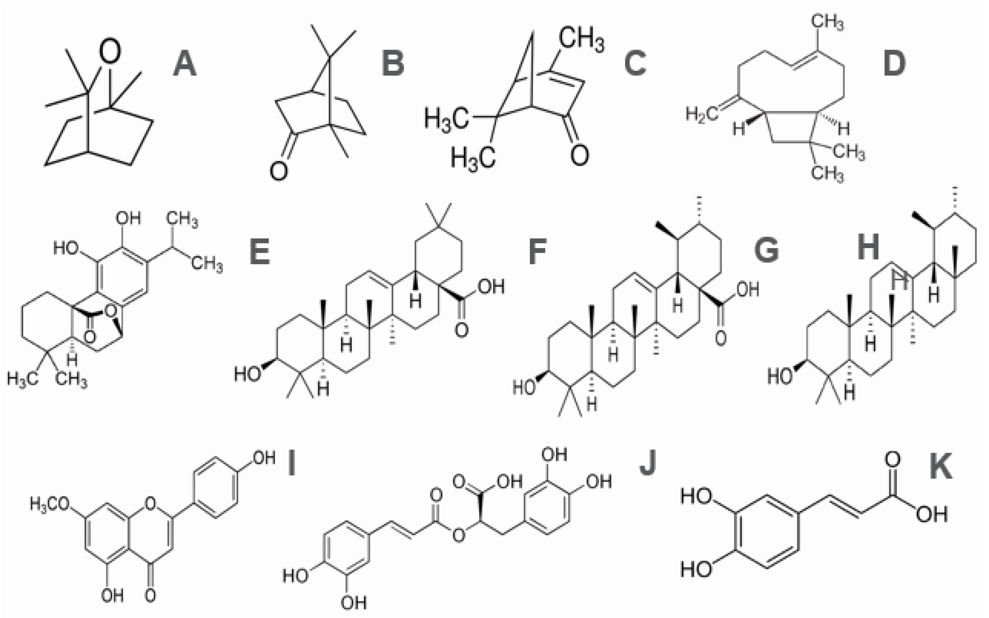 Cosmetics 07 00077 g005