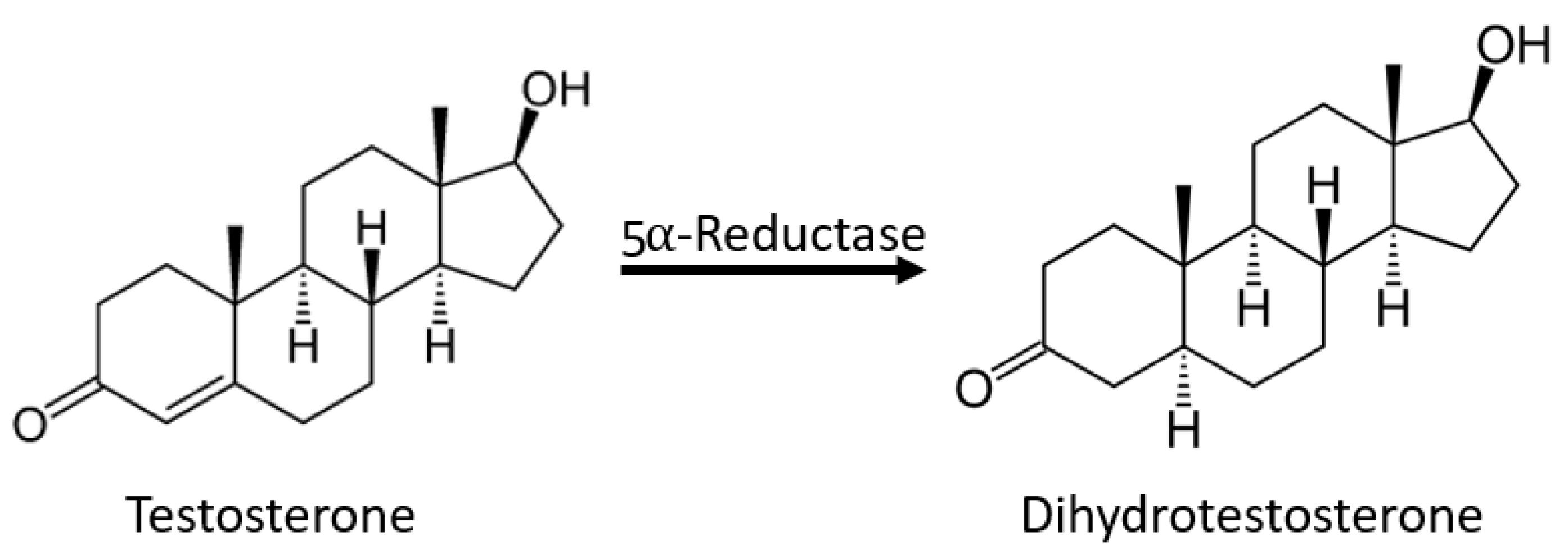 Cosmetics 07 00077 g008