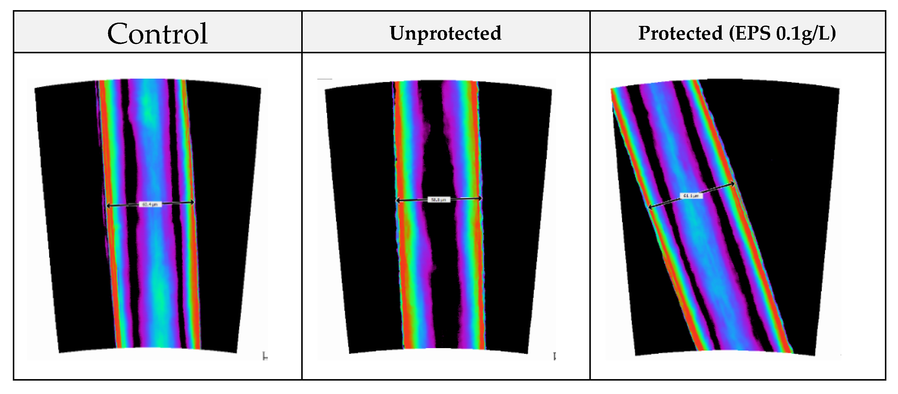 Cosmetics 07 00078 g003a Cosmetics 07 00078 g003a