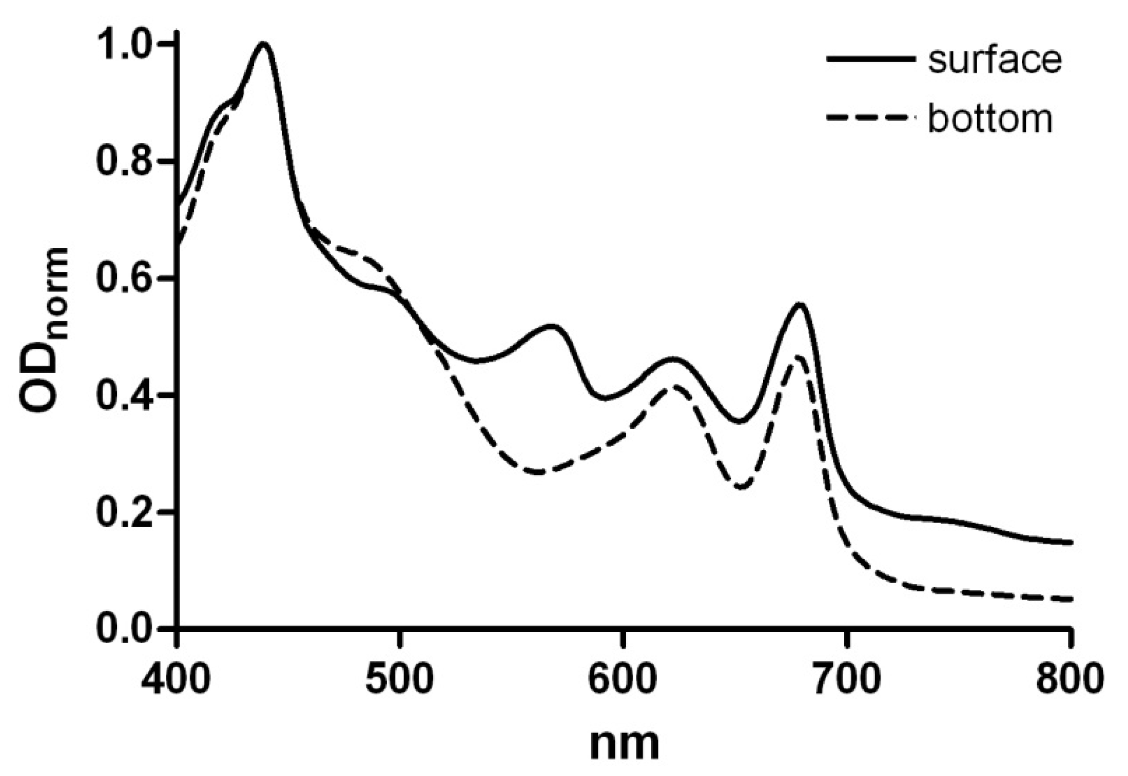 Cosmetics 07 00081 g003 Cosmetics 07 00081 g003