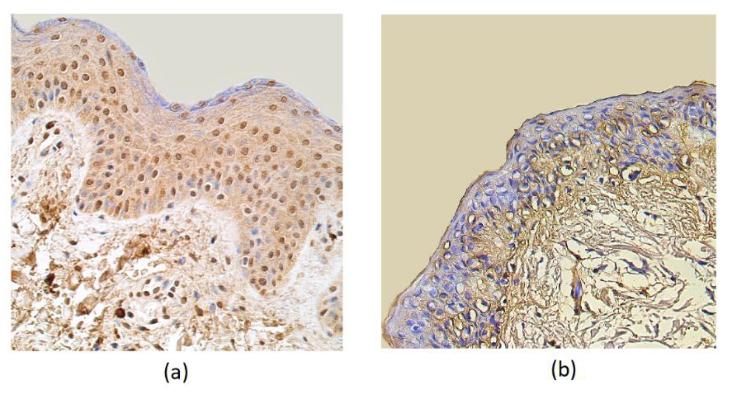 Cosmetics 07 00082 g003 Cosmetics 07 00082 g003