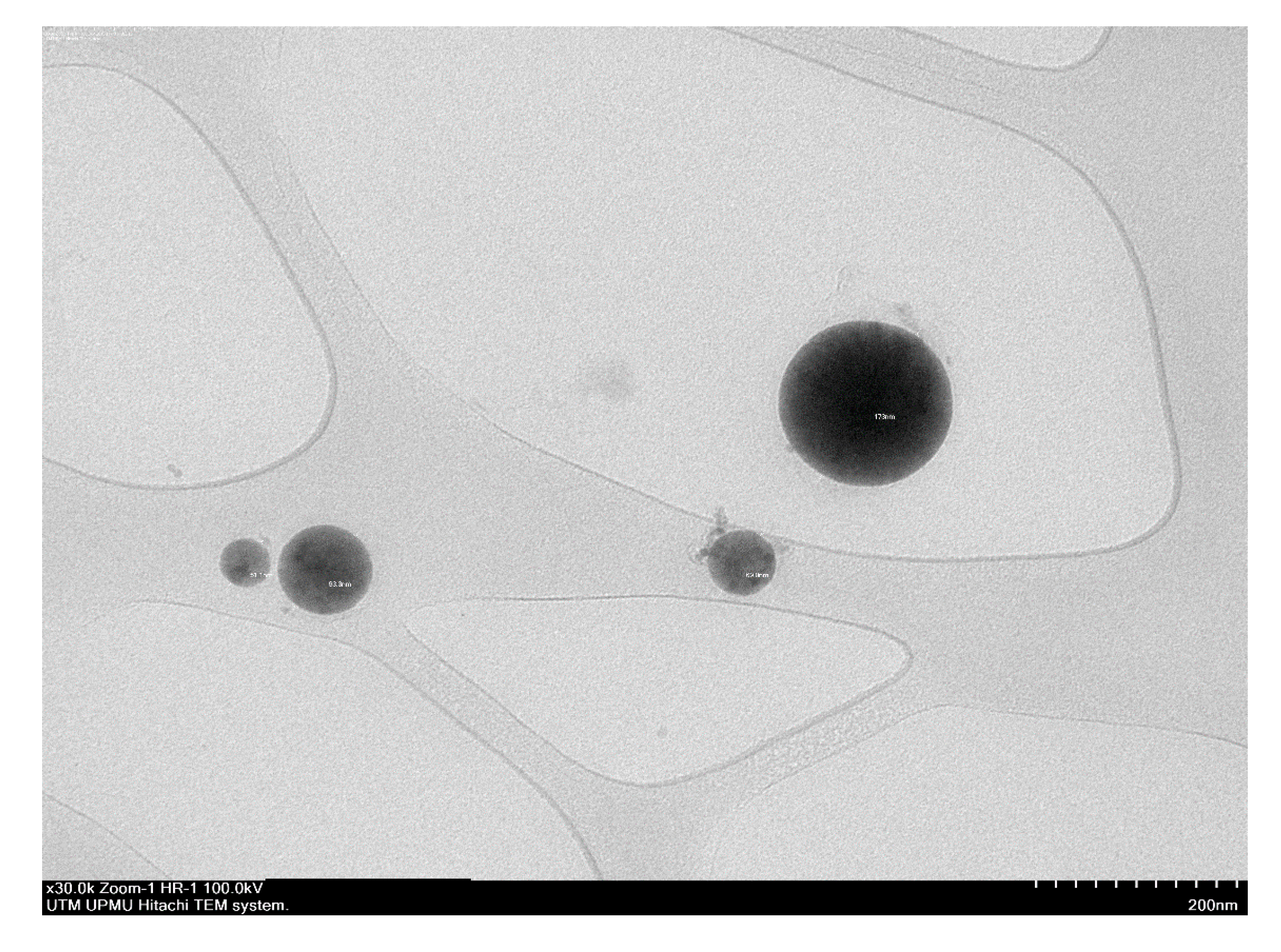 Cosmetics 07 00083 g003