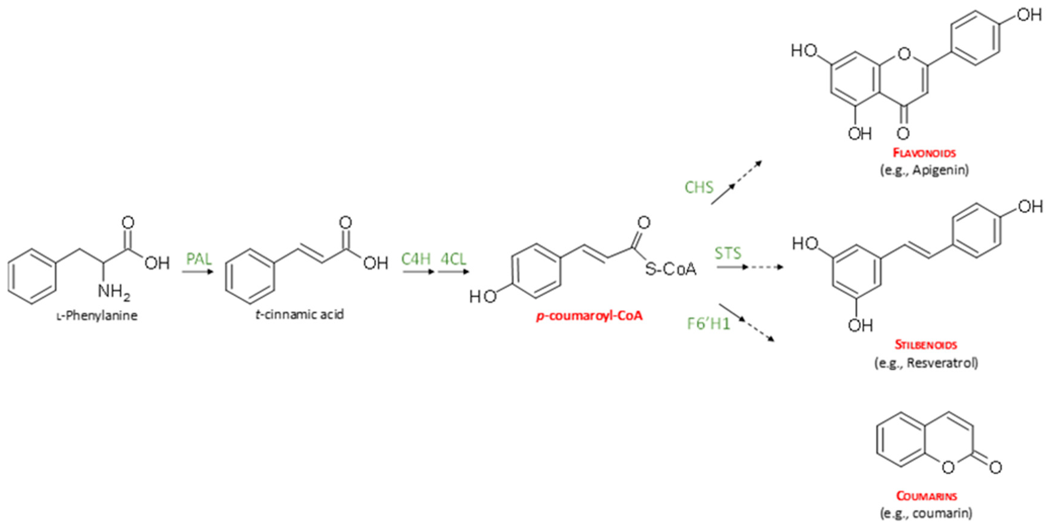 Cosmetics 07 00084 g002 Cosmetics 07 00084 g002