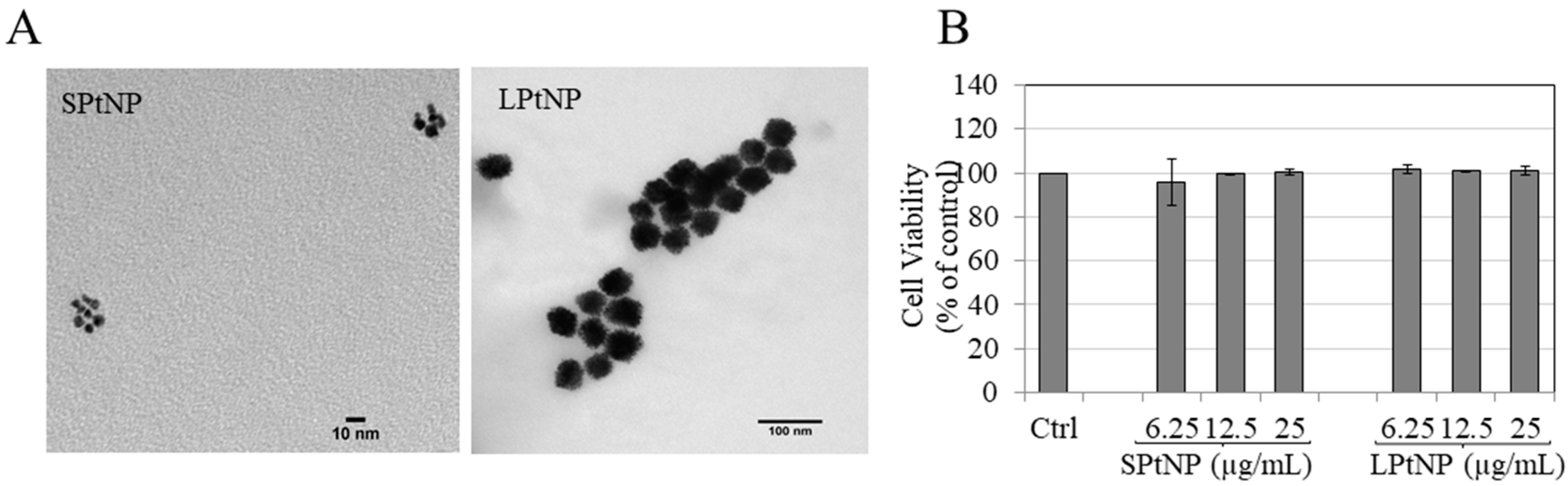 Cosmetics 07 00088 g001 Cosmetics 07 00088 g001