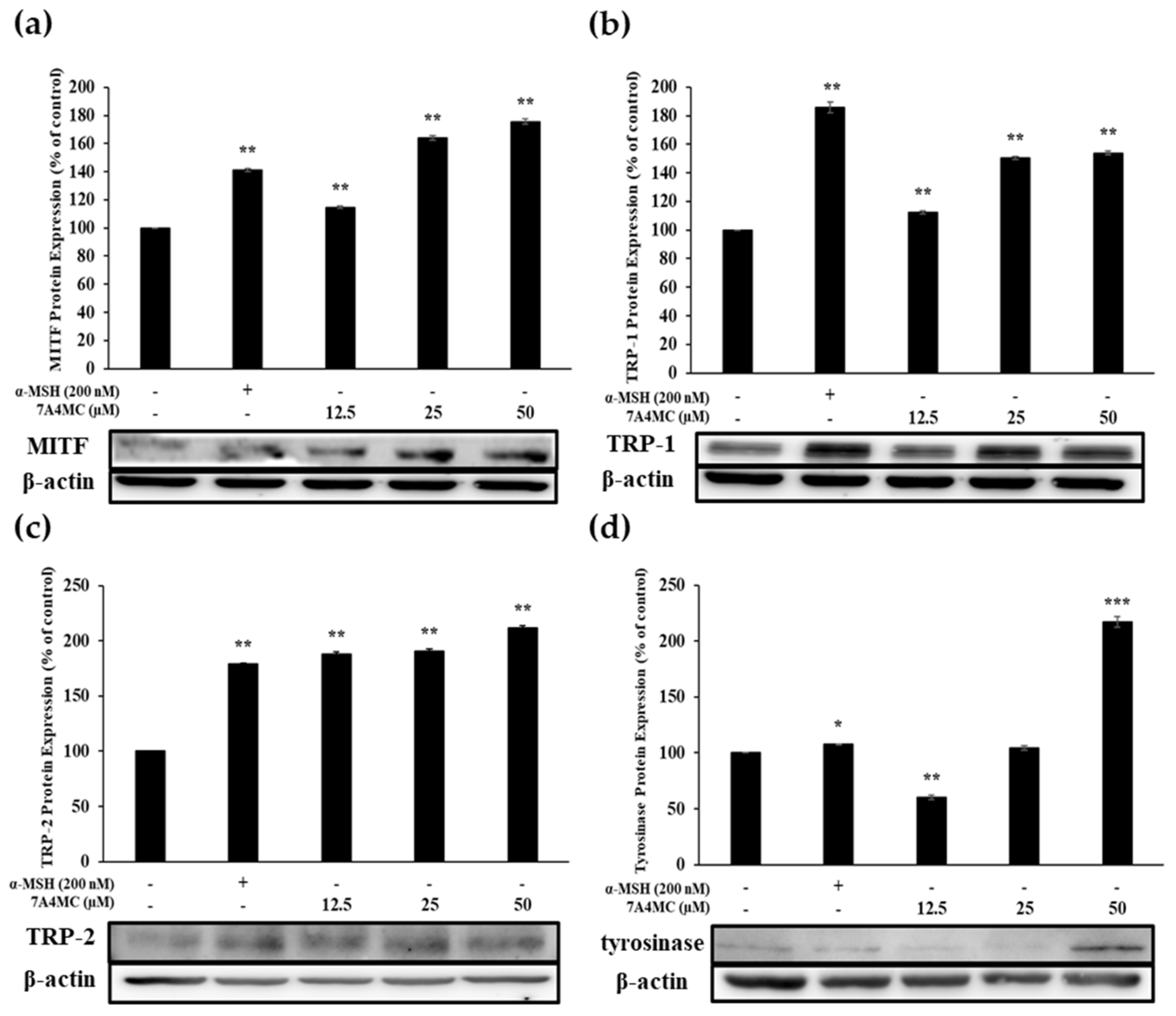 Cosmetics 07 00094 g005 Cosmetics 07 00094 g005
